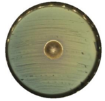 Materials 13 04715 i014 Materials 13 04715 i014