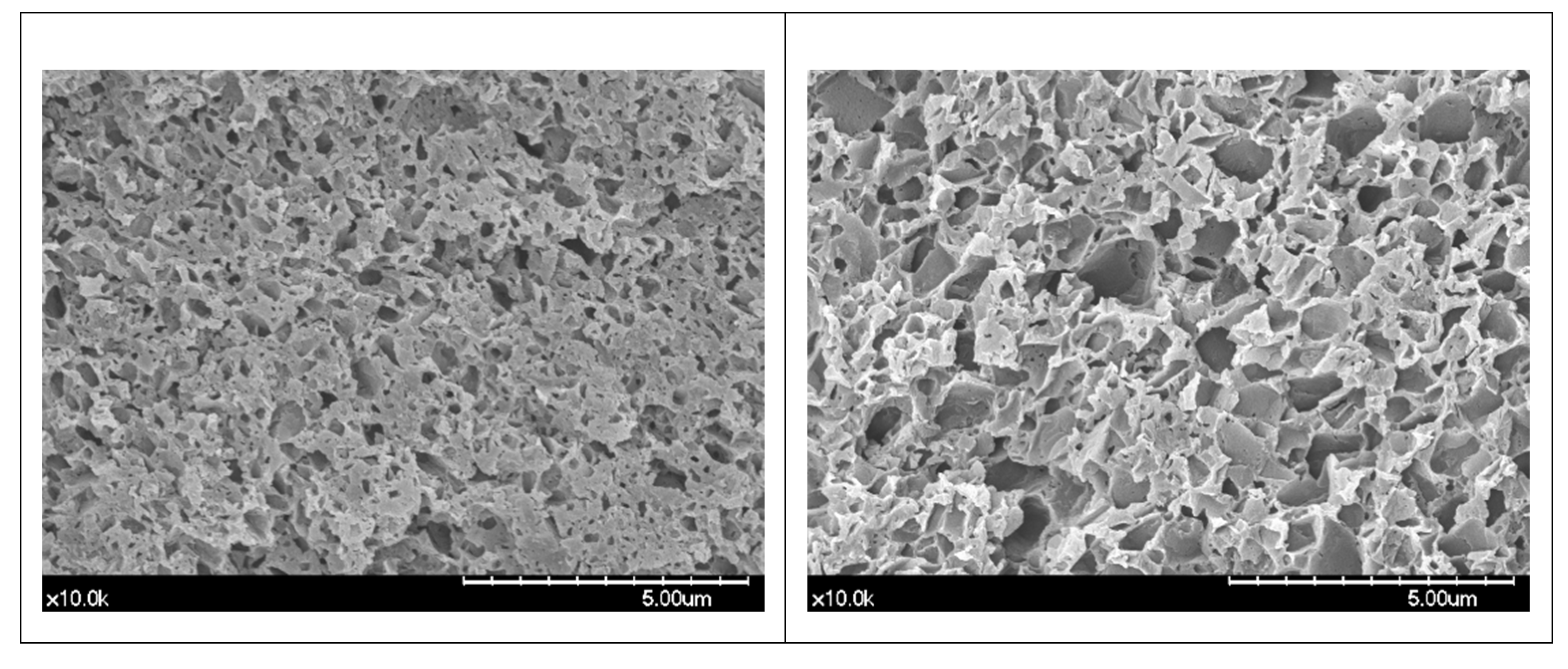Color Stability of Dental Reinforced CAD/CAM Hybrid Composite Blocks ...