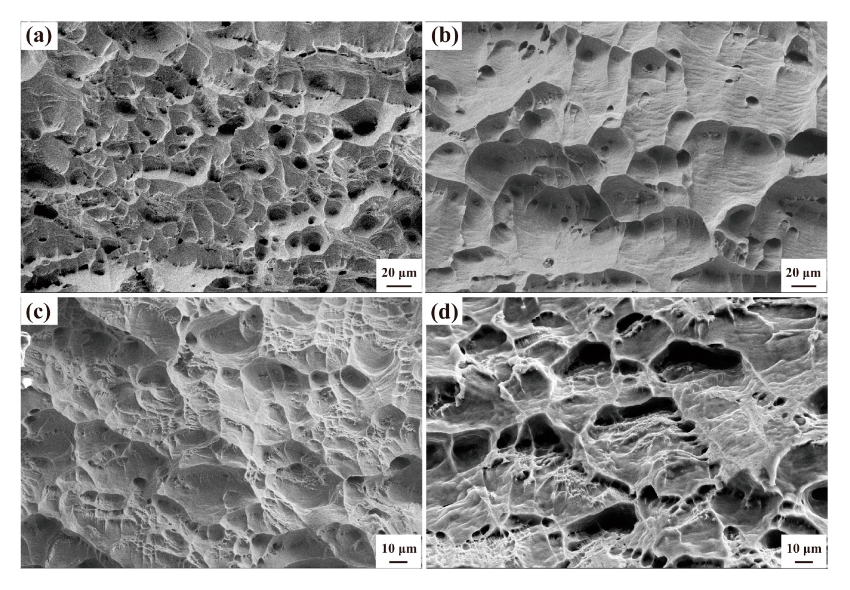 Materials 13 04744 g005 Materials 13 04744 g005