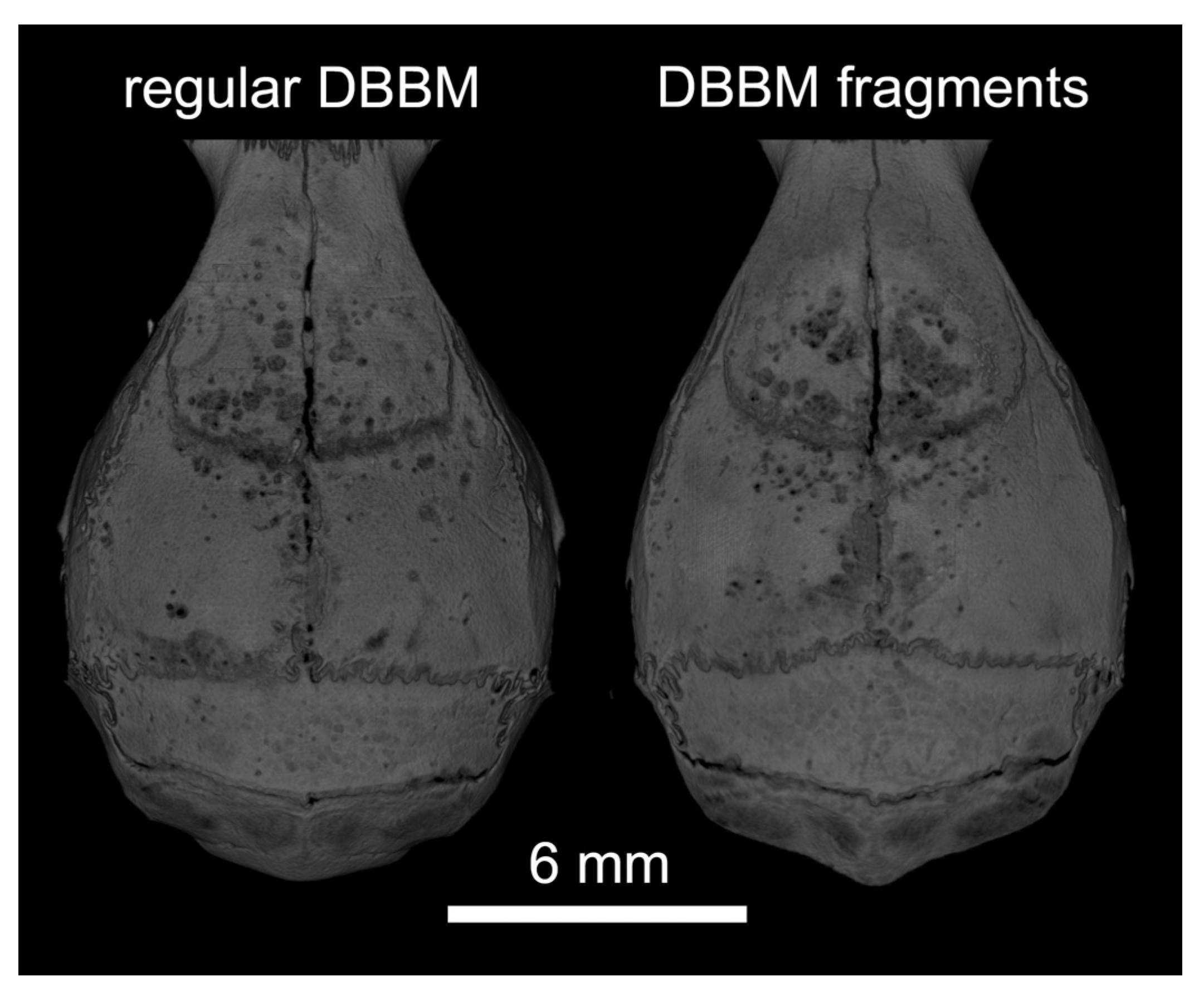 Materials 13 04748 g001