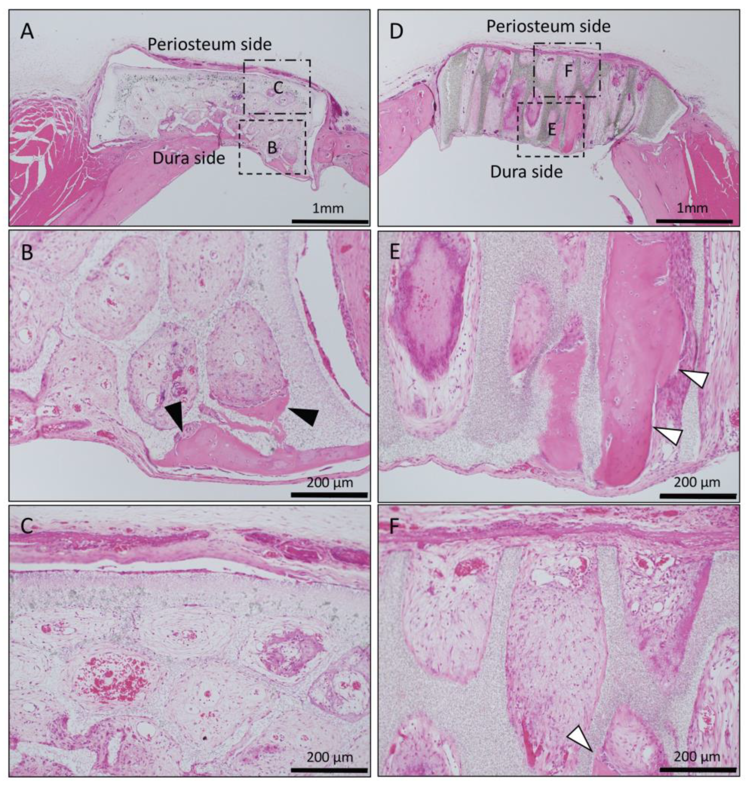 Materials 13 04761 g005 Materials 13 04761 g005