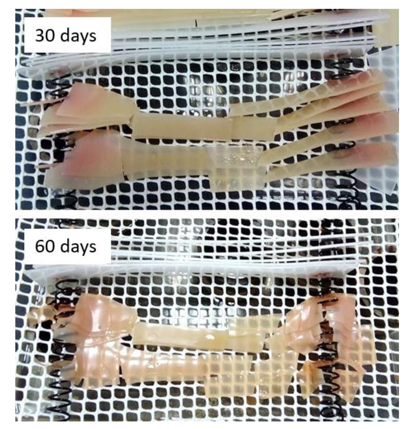 Materials 13 04762 g009