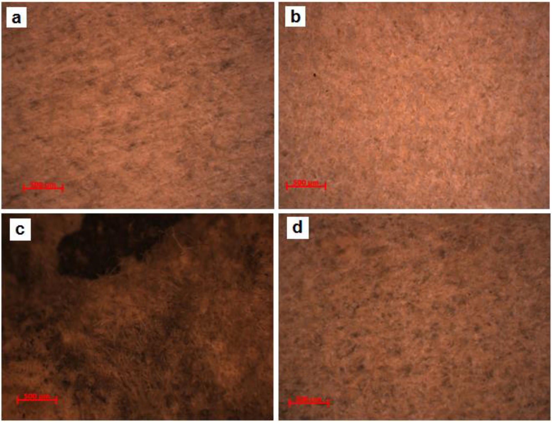 Materials 13 04766 g003 Materials 13 04766 g003