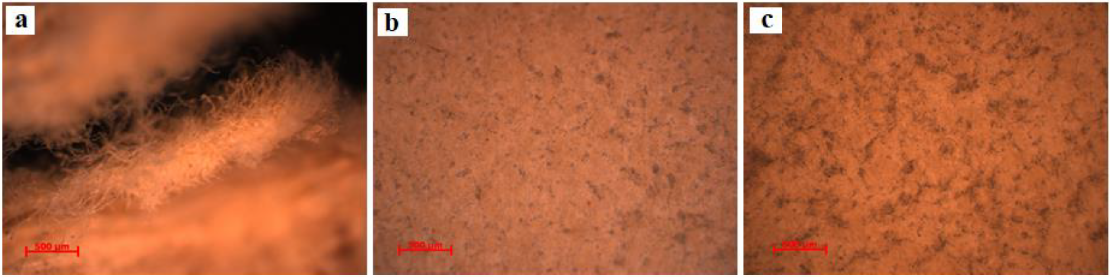 Materials 13 04766 g004 Materials 13 04766 g004