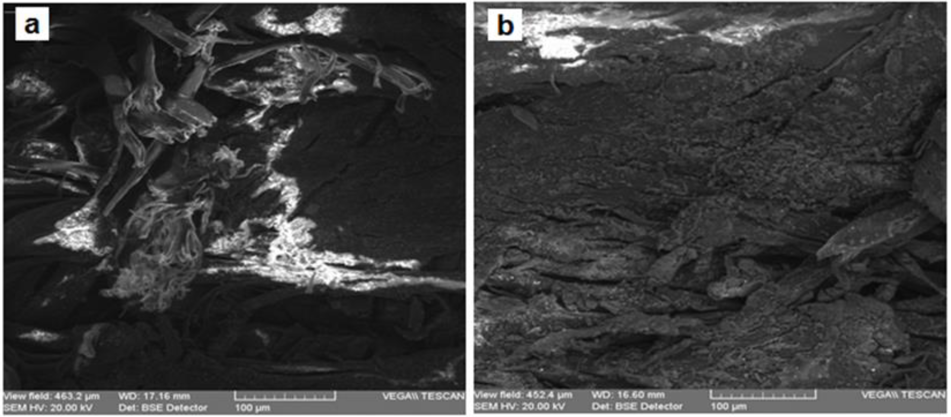 Materials 13 04766 g007 Materials 13 04766 g007