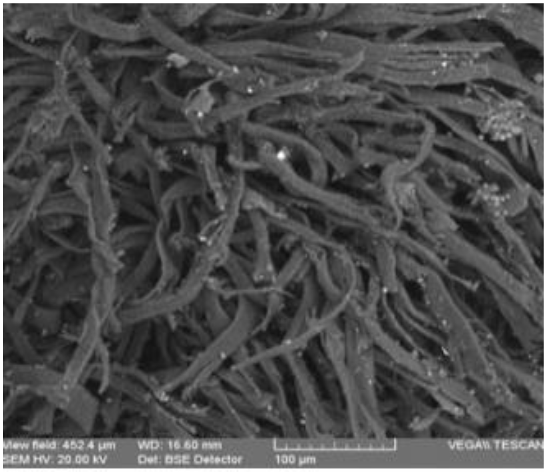 Materials 13 04766 g008 Materials 13 04766 g008