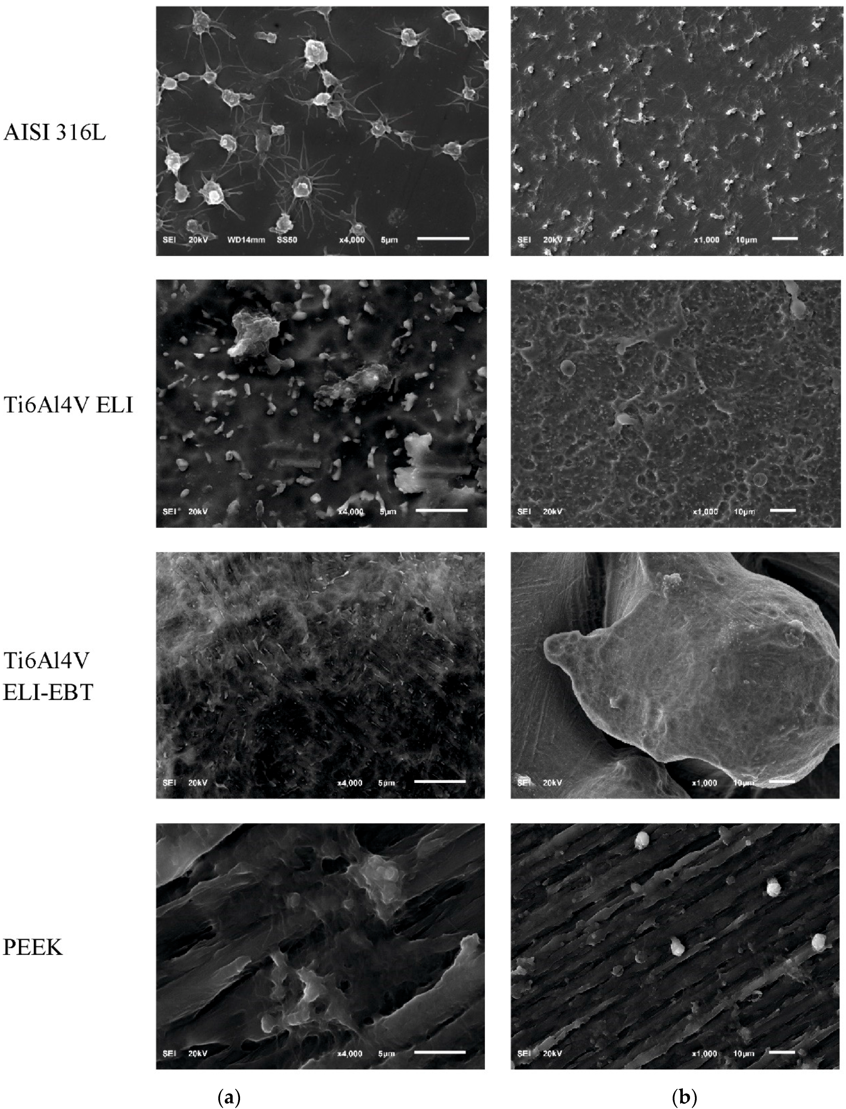 Materials 13 04769 g003 Materials 13 04769 g003