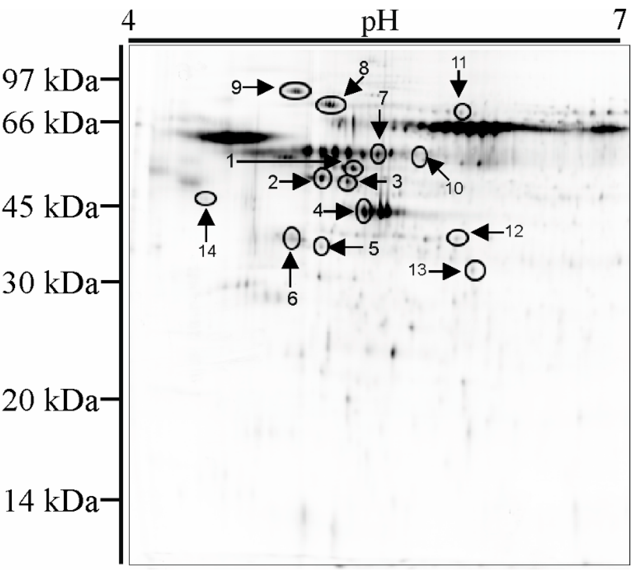 Materials 13 04769 g007 Materials 13 04769 g007