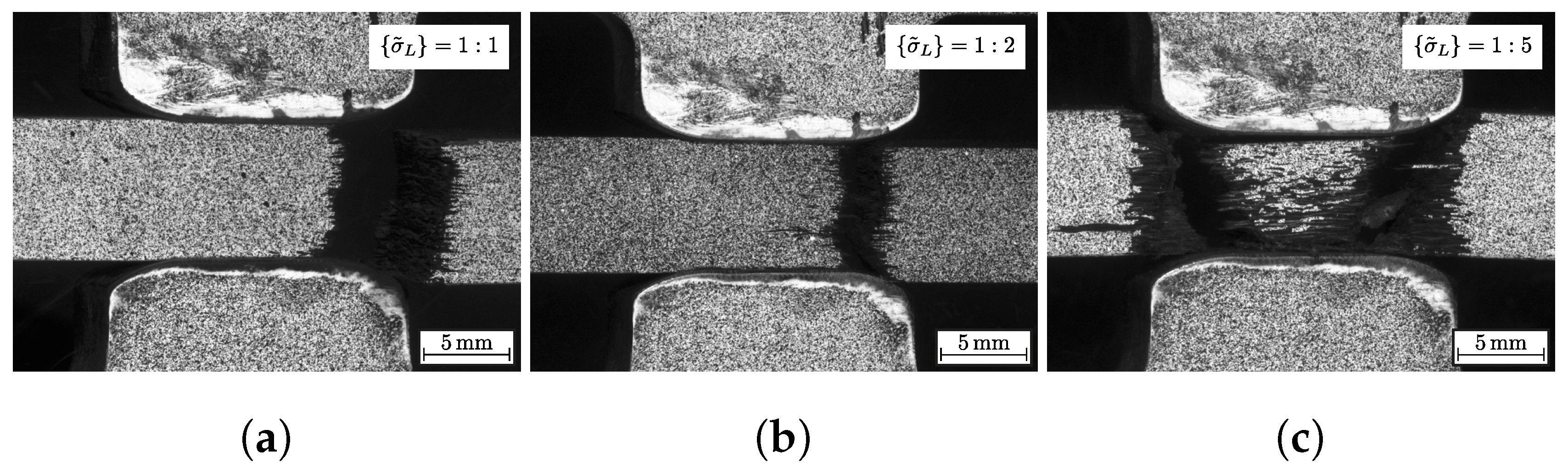 Materials 13 04772 g008 Materials 13 04772 g008