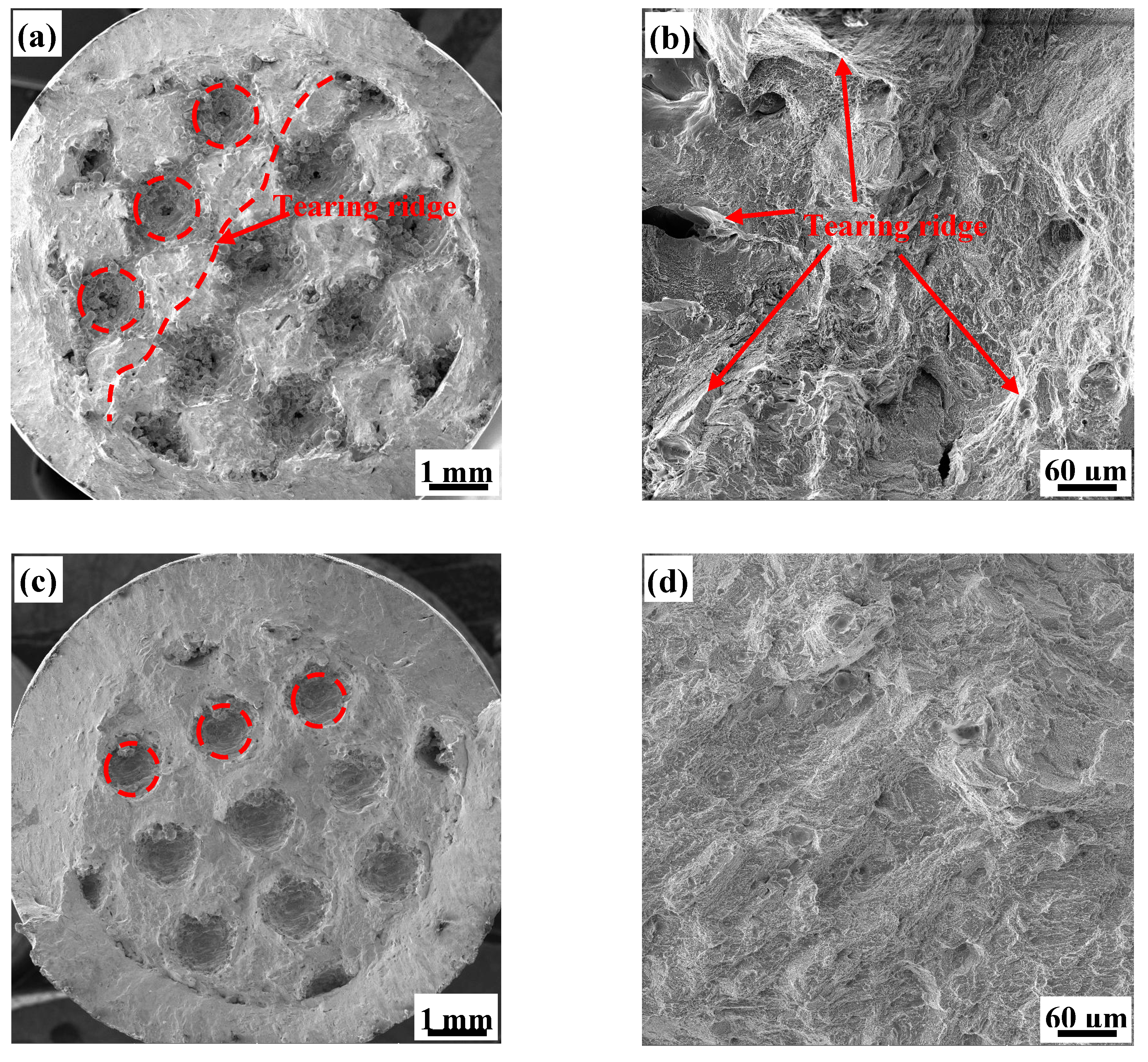 Materials 13 04786 g011 Materials 13 04786 g011