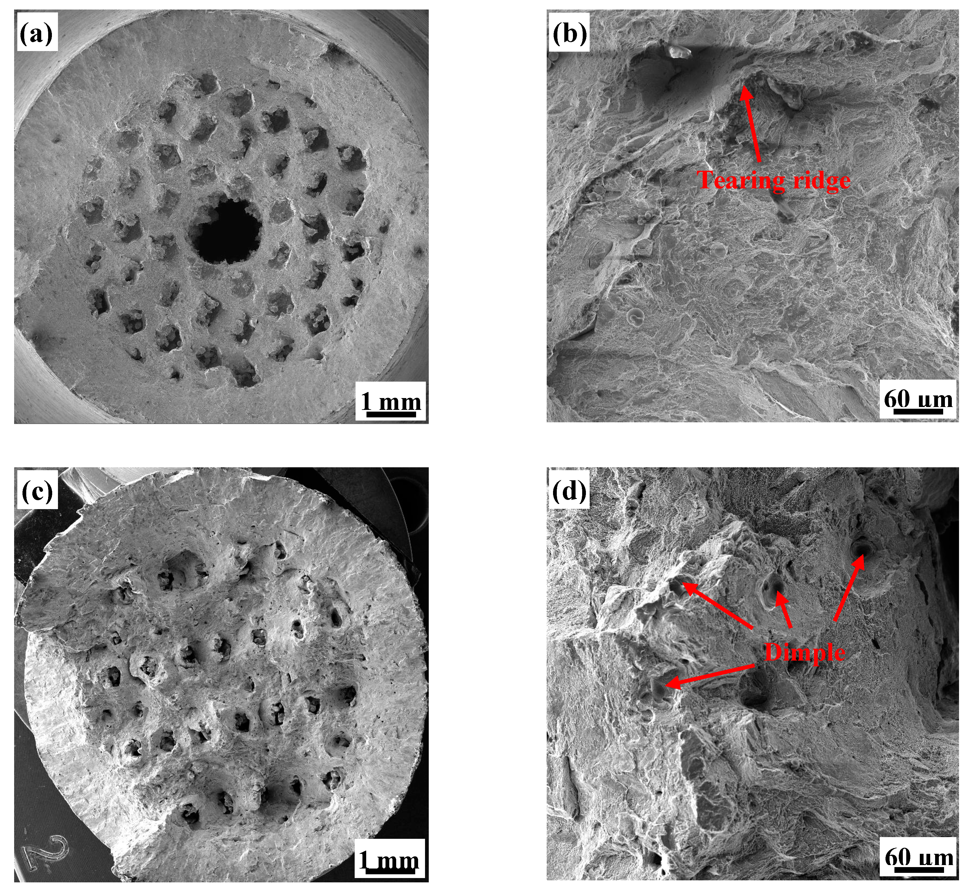 Materials 13 04786 g012 Materials 13 04786 g012