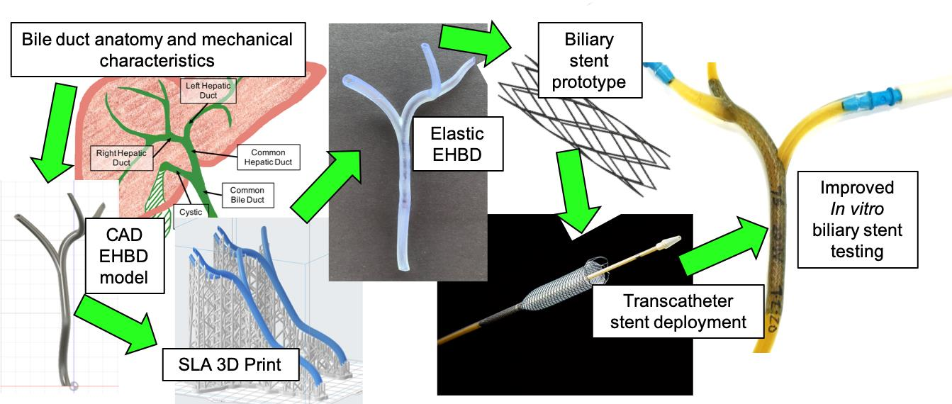 Ercp Stent