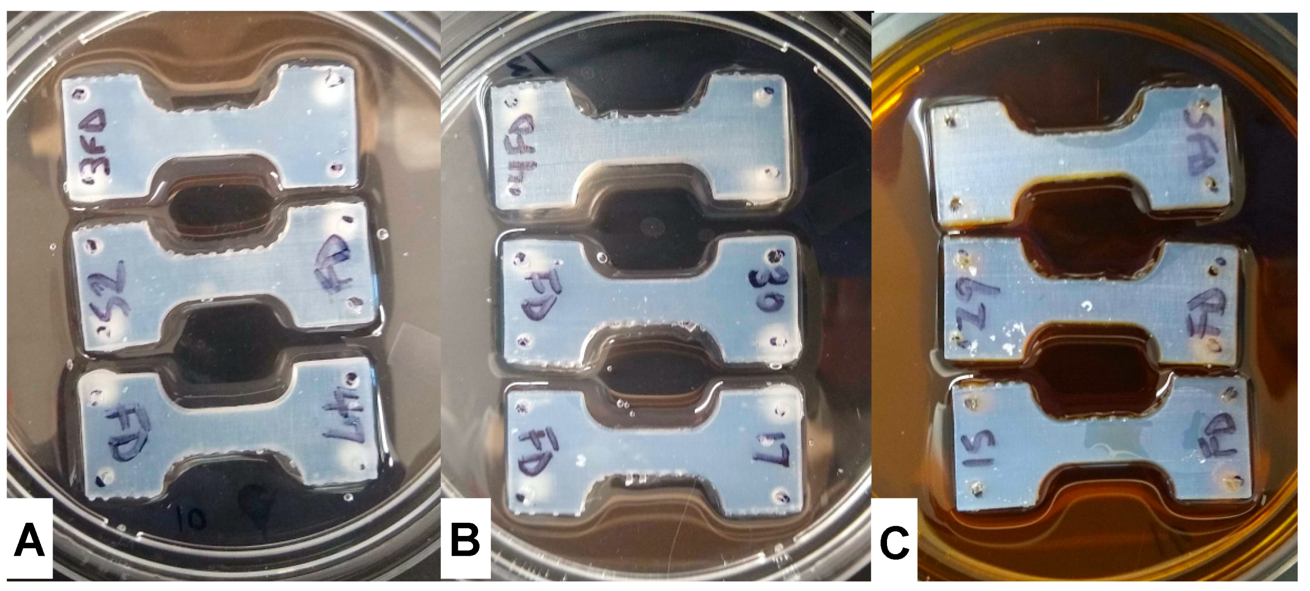 Materials 13 04788 g002 Materials 13 04788 g002