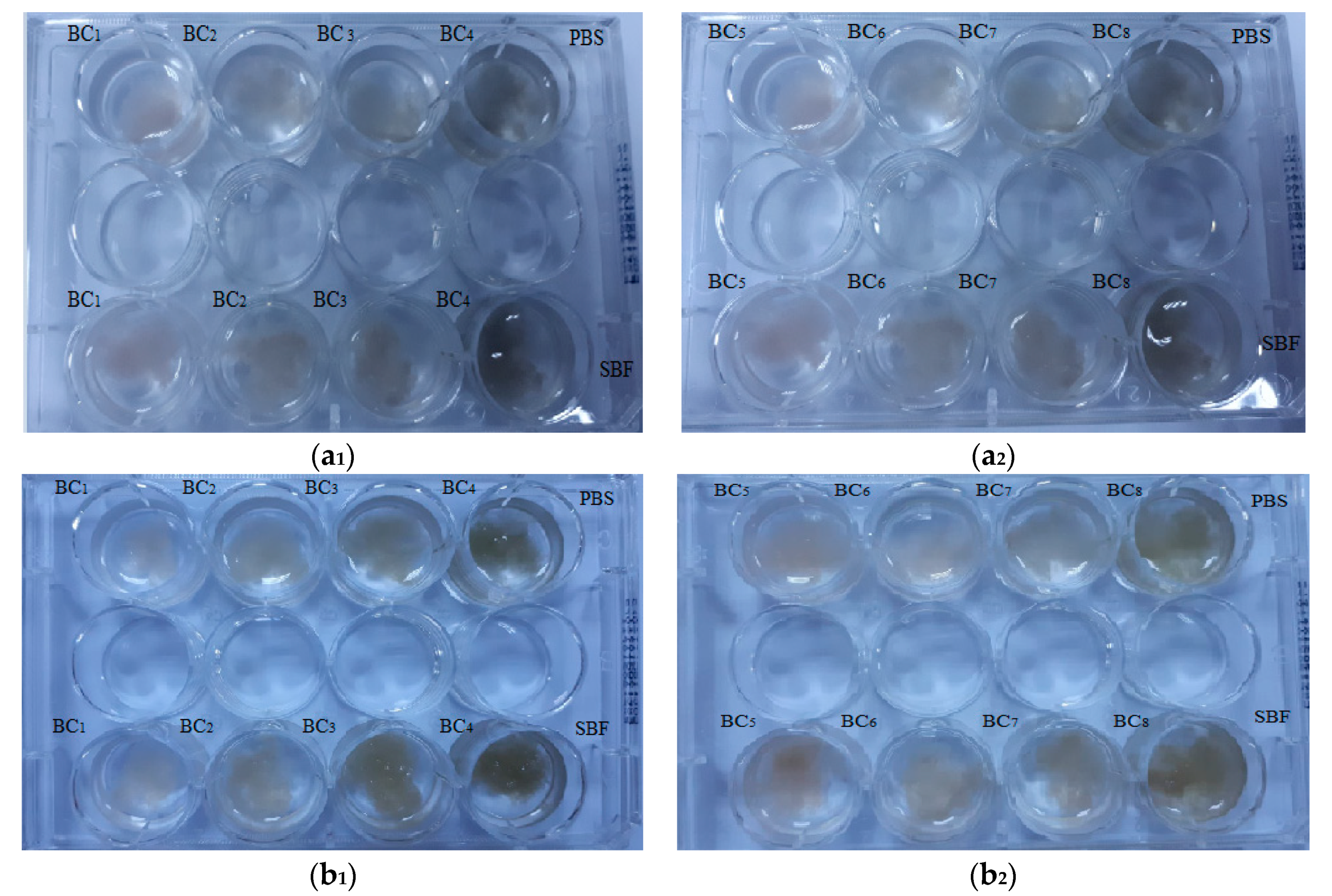 Materials 13 04793 g011 Materials 13 04793 g011