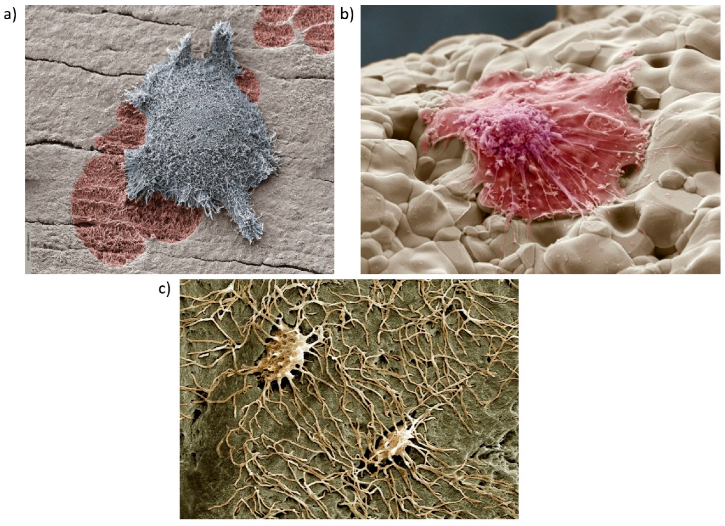 Materials 13 04794 g004