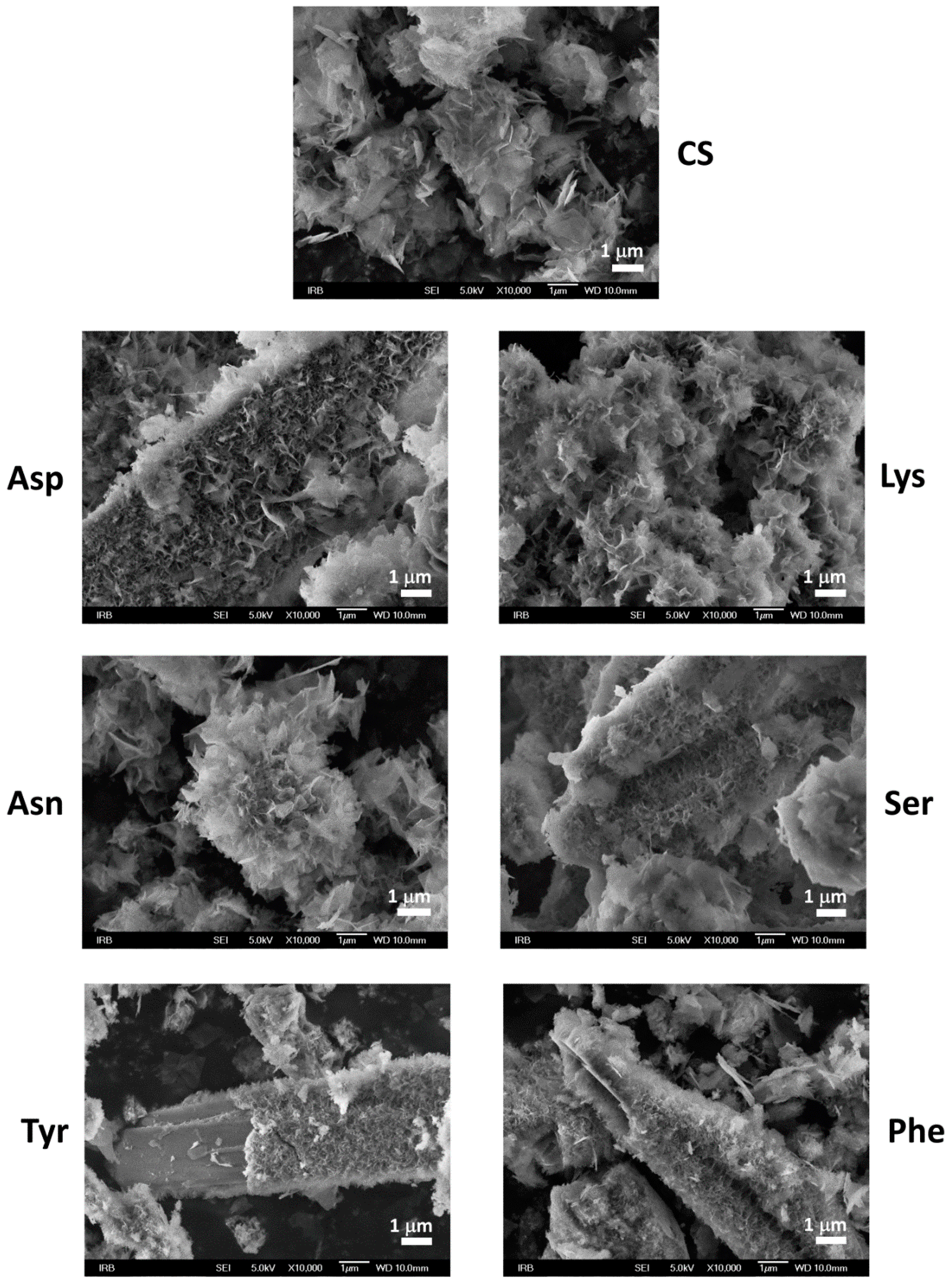 Materials 13 04798 g004