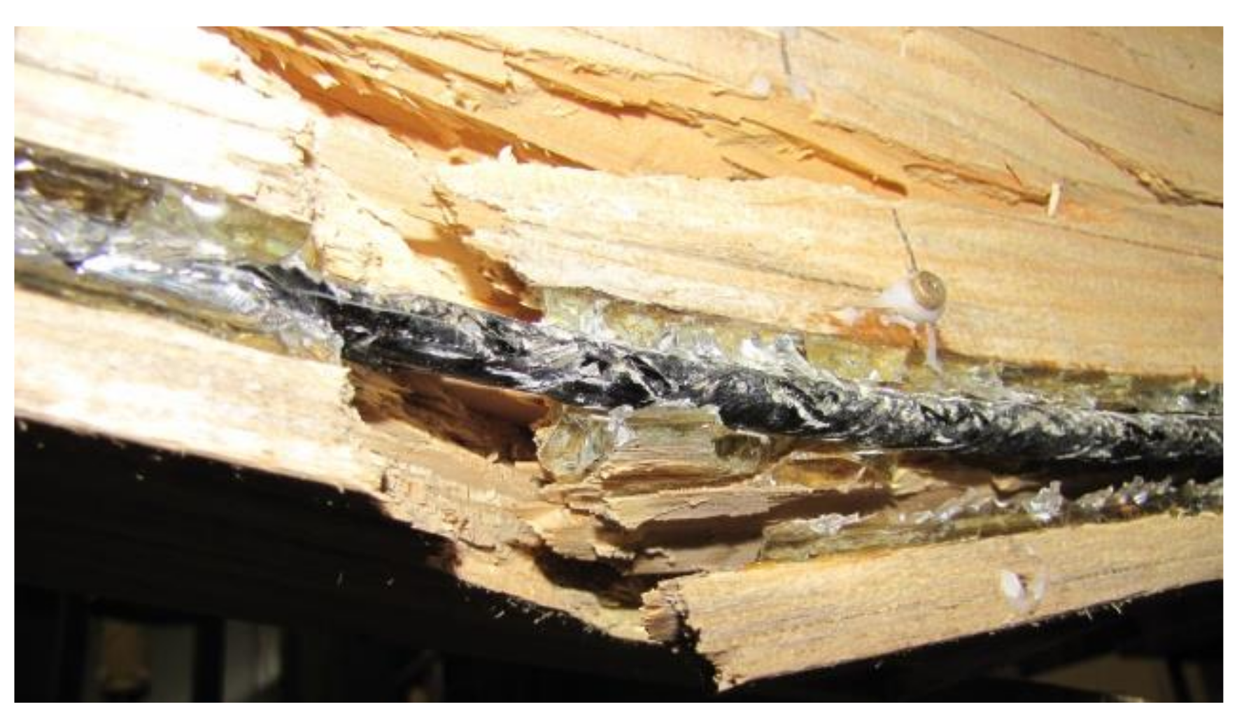 Materials 13 04799 g009