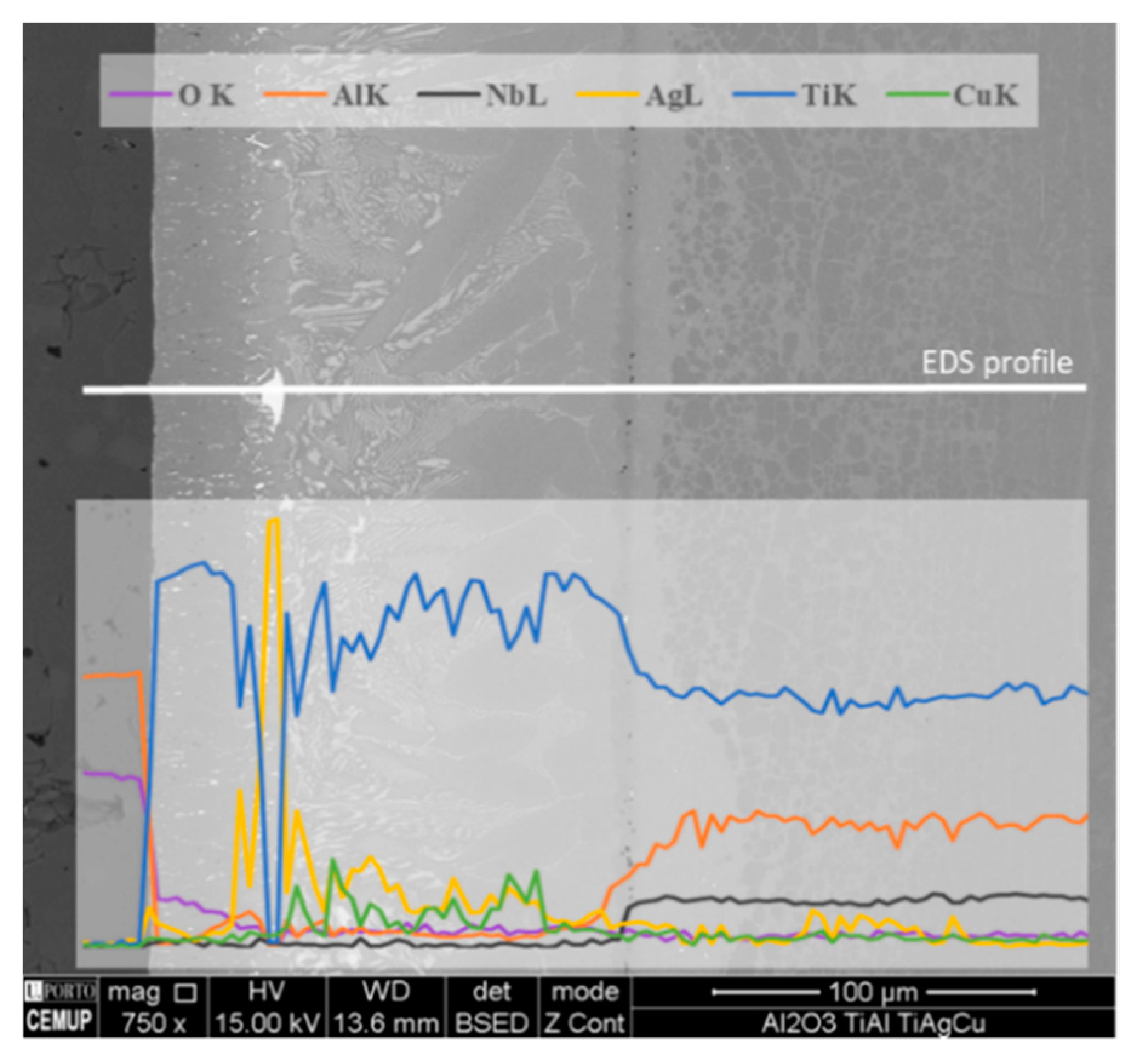 Materials 13 04802 g002
