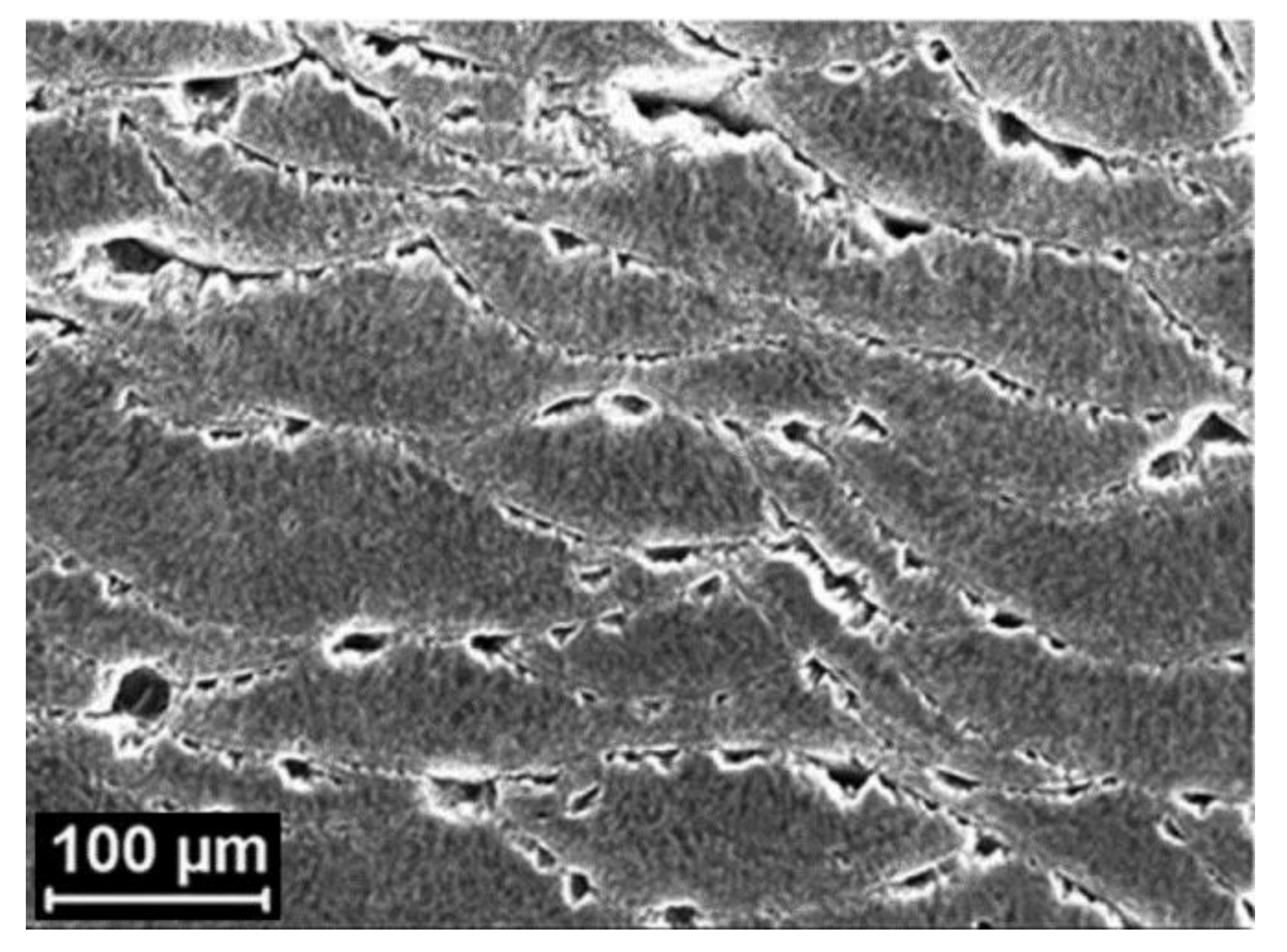 Materials 13 04804 g004