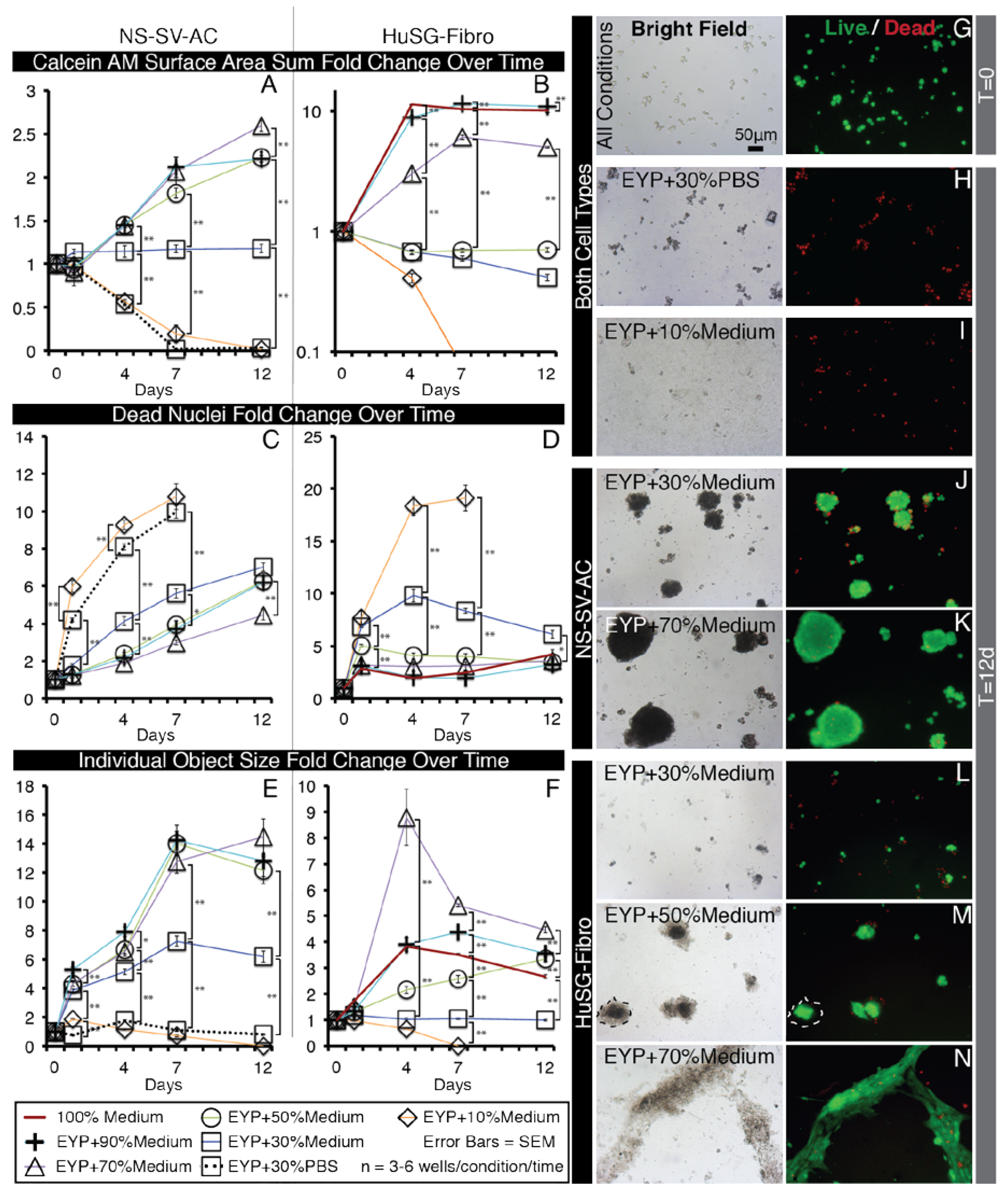 Materials 13 04807 g002 Materials 13 04807 g002