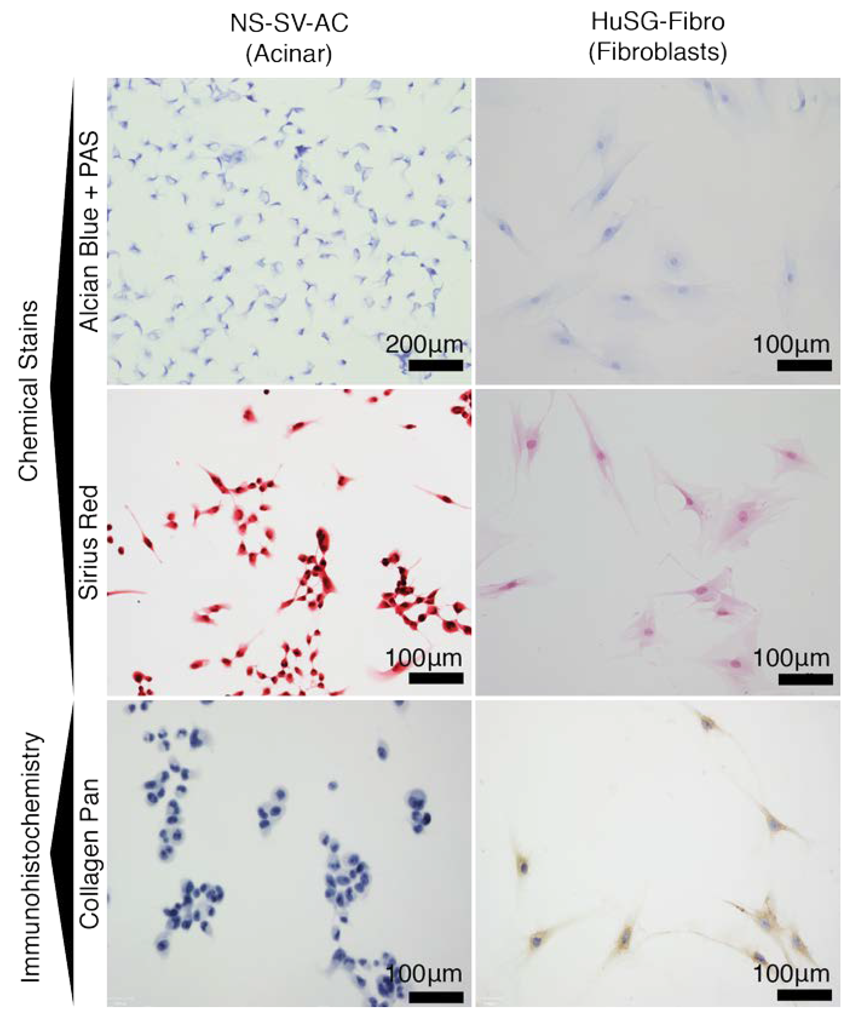 Materials 13 04807 g0a2 Materials 13 04807 g0a2