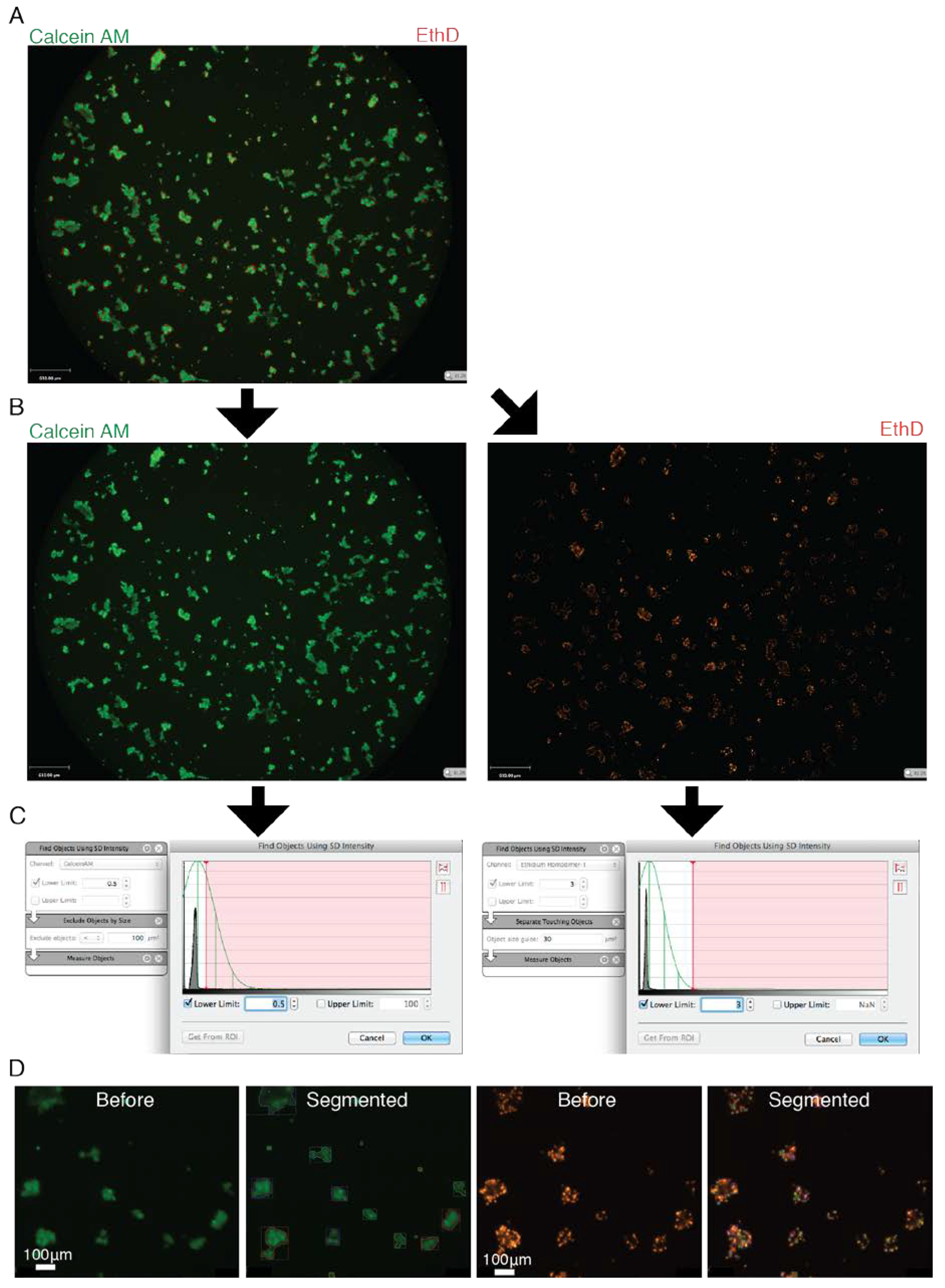 Materials 13 04807 g0a3 Materials 13 04807 g0a3