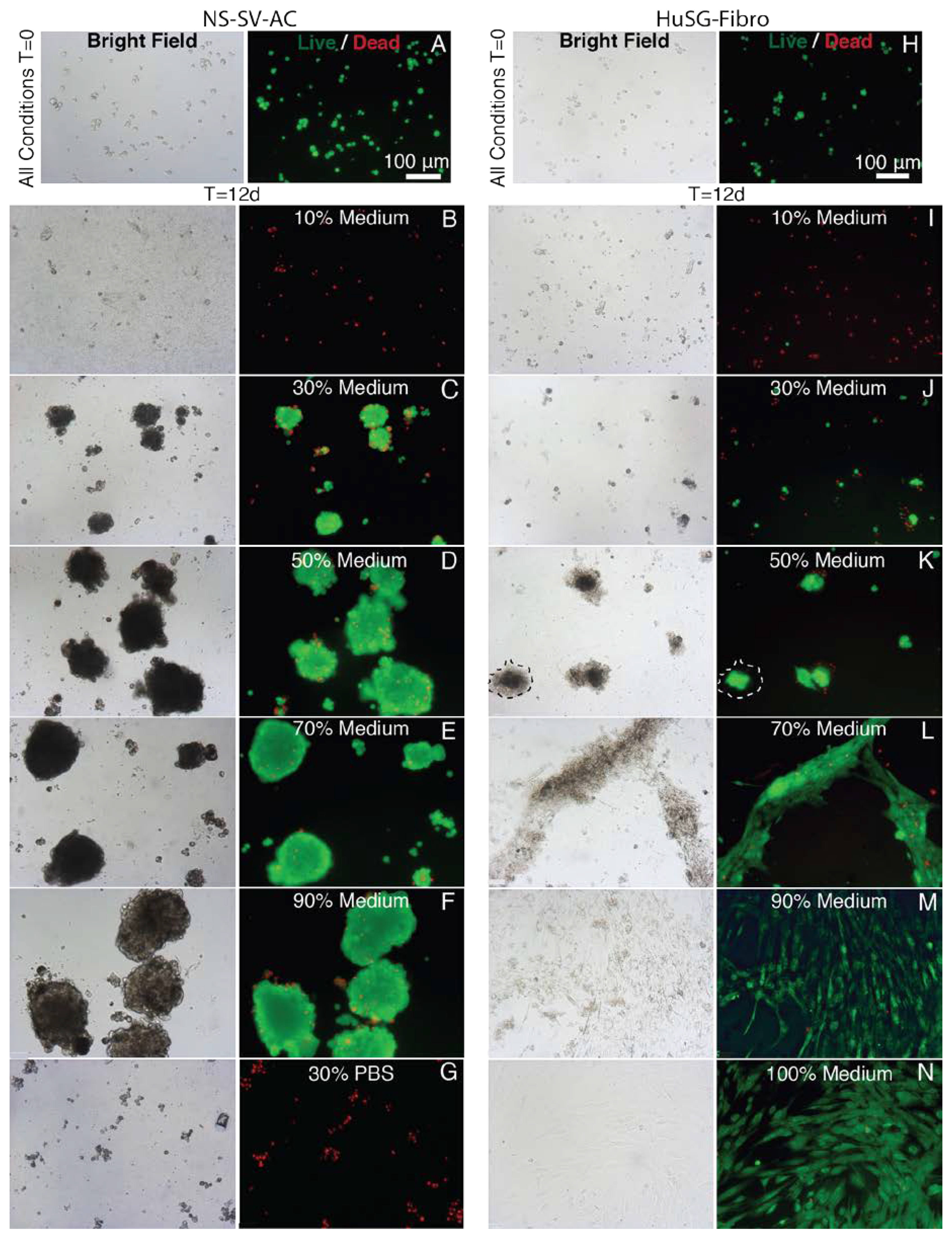 Materials 13 04807 g0a4 Materials 13 04807 g0a4