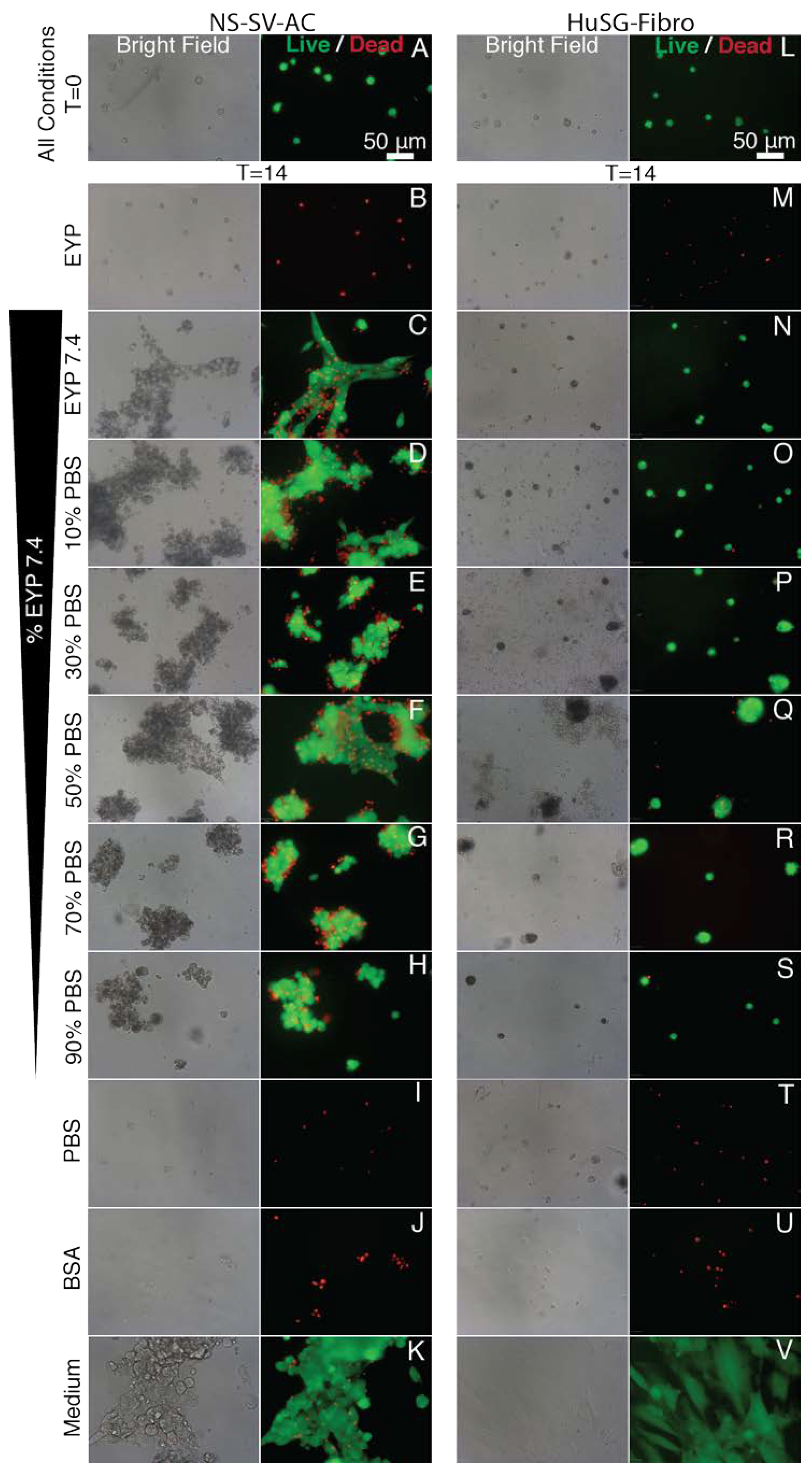 Materials 13 04807 g0a5 Materials 13 04807 g0a5