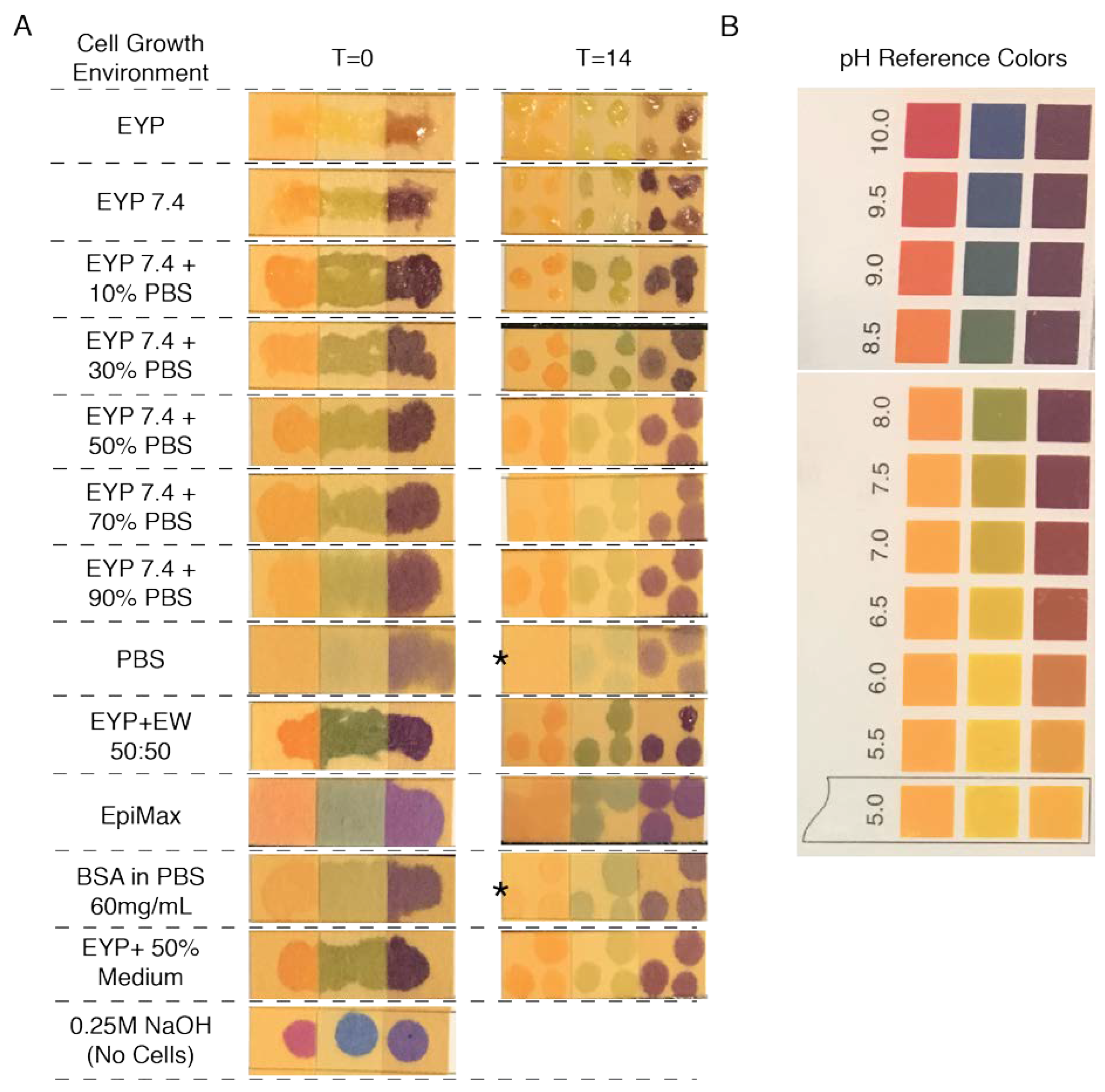 Materials 13 04807 g0a6 Materials 13 04807 g0a6