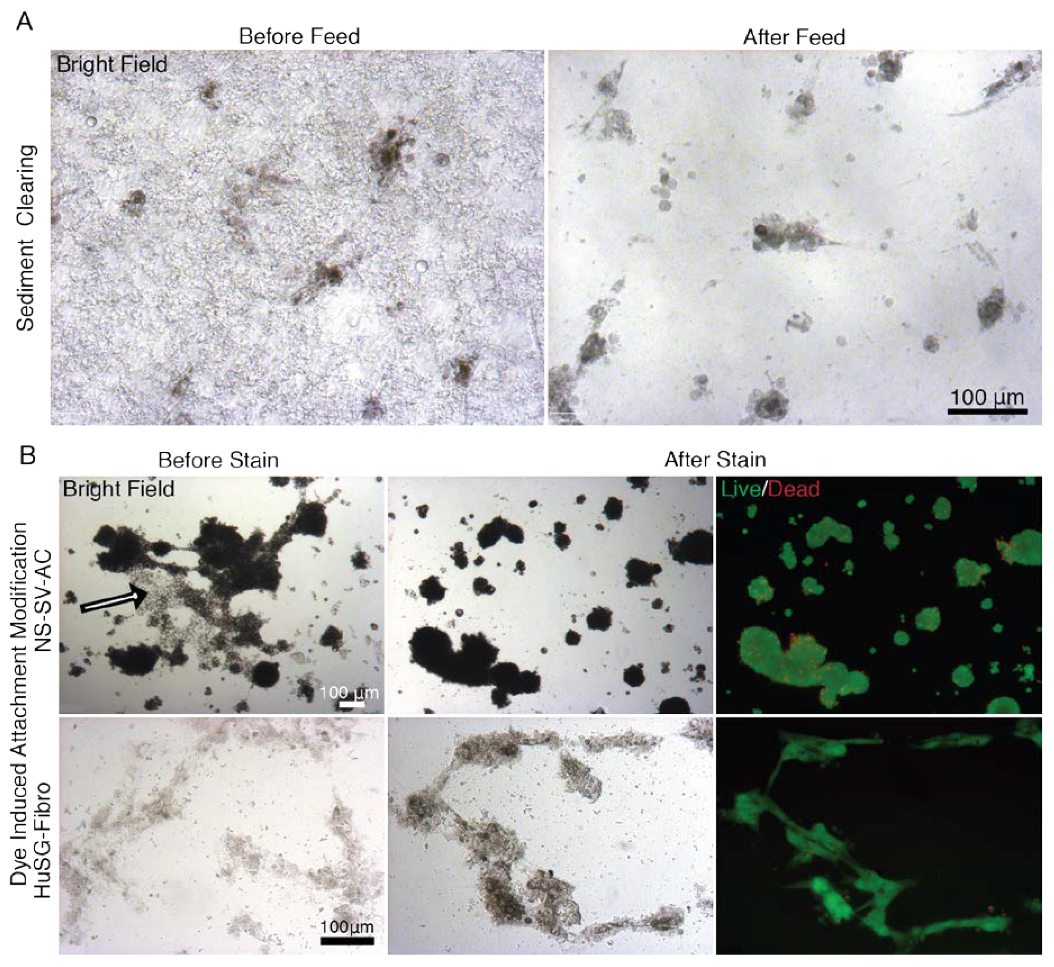 Materials 13 04807 g0a9 Materials 13 04807 g0a9