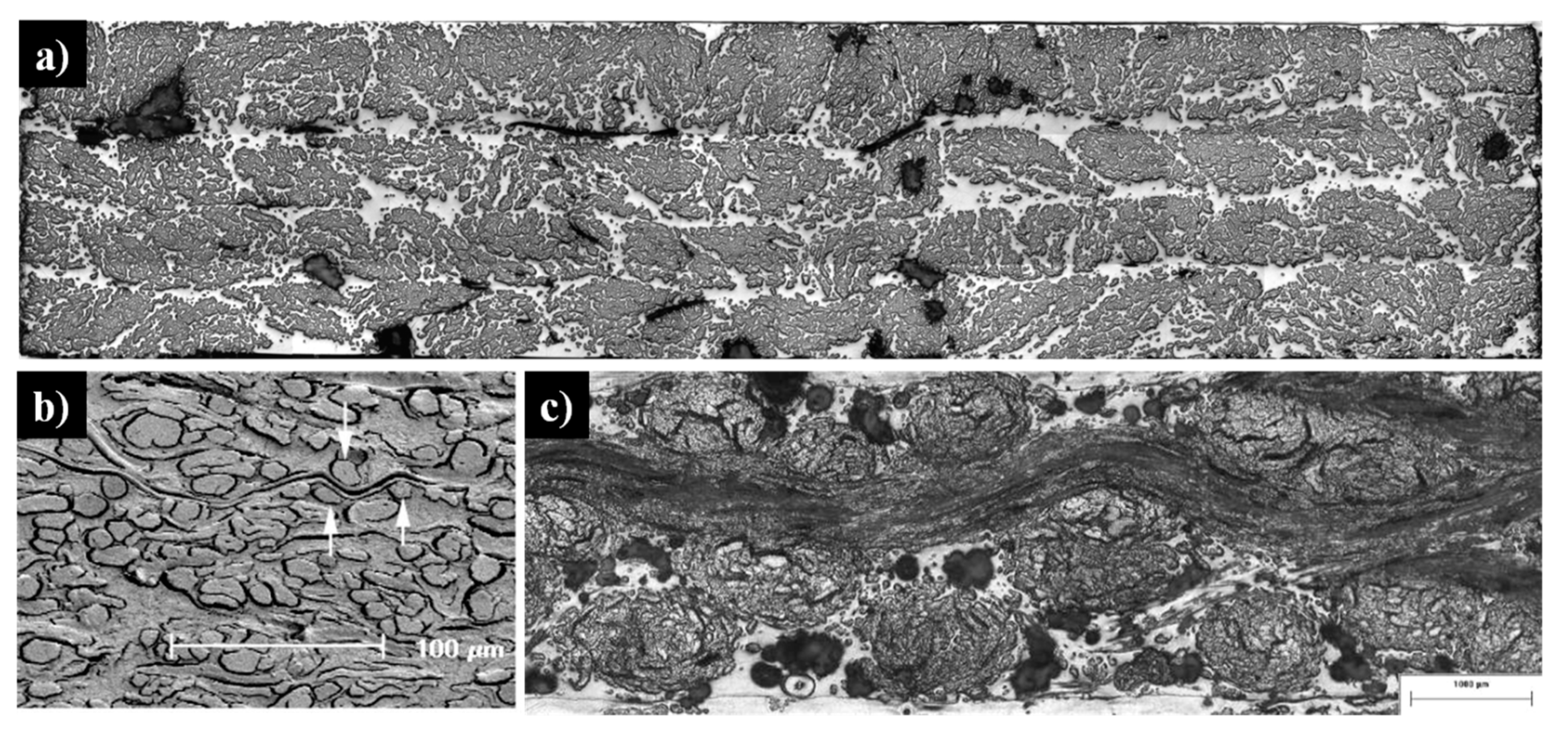 Materials 13 04811 g002