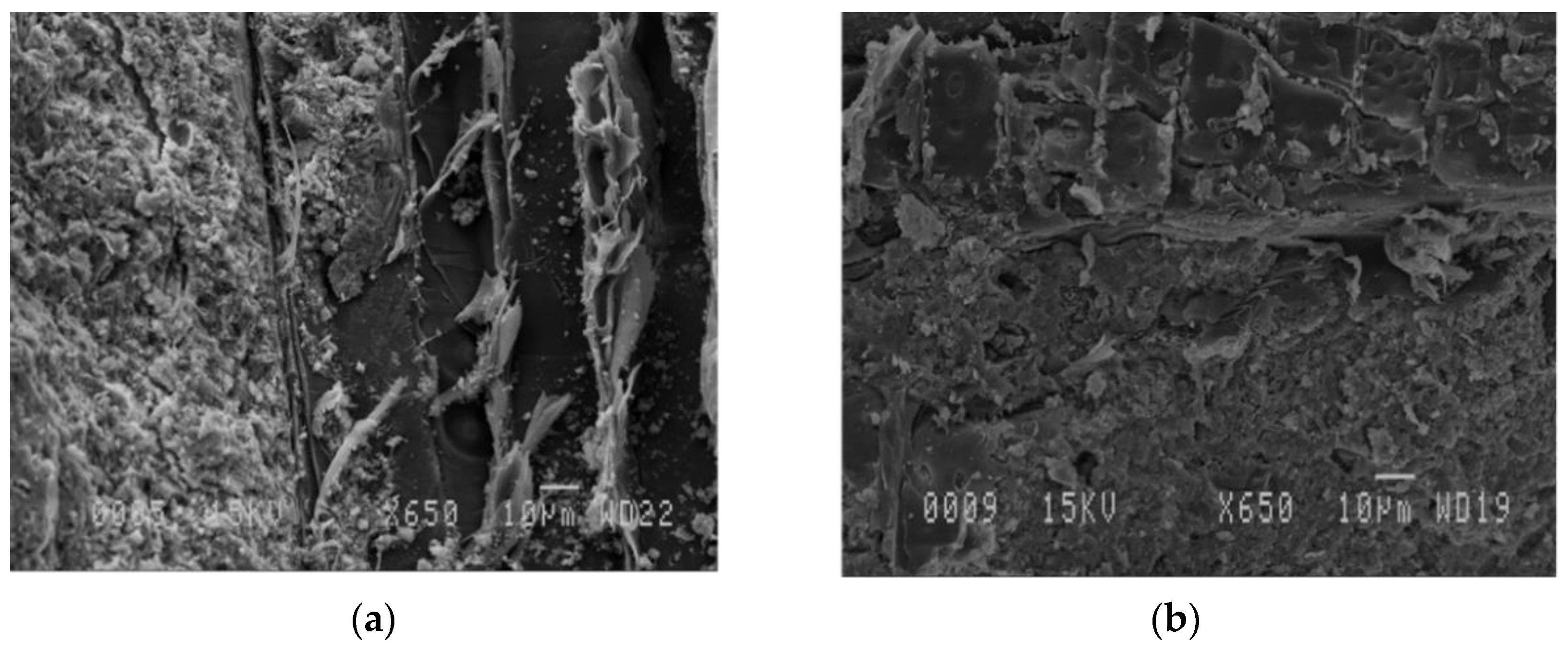 Materials 13 04813 g005 Materials 13 04813 g005