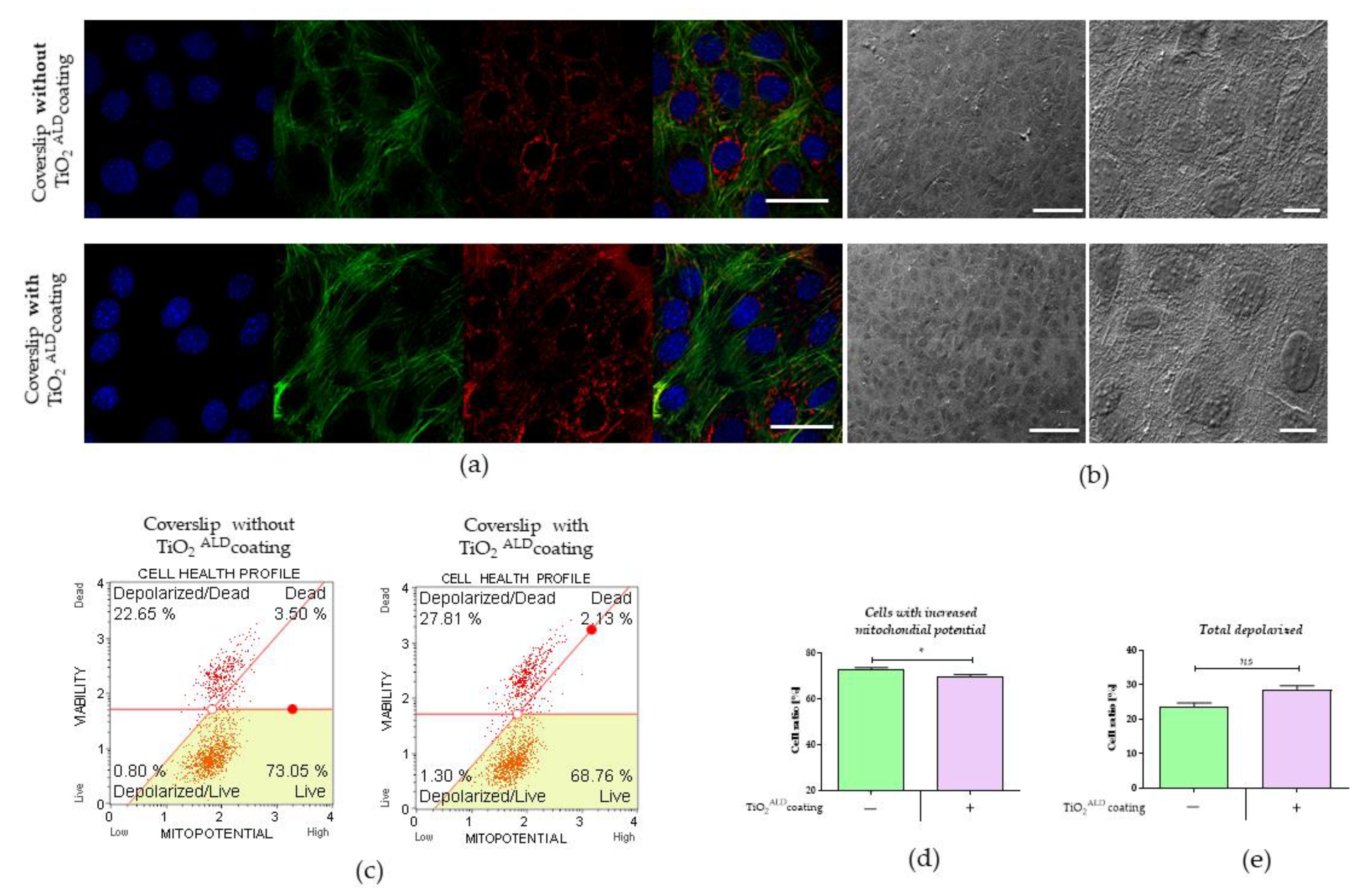 Materials 13 04817 g008 Materials 13 04817 g008