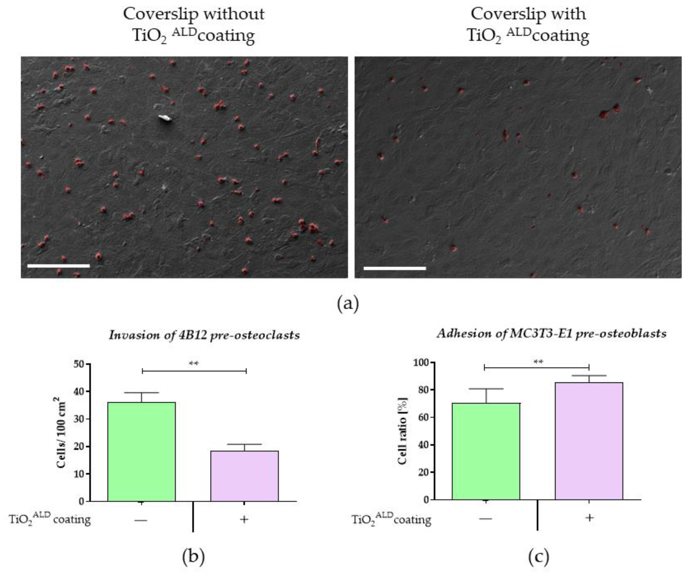 Materials 13 04817 g009 Materials 13 04817 g009