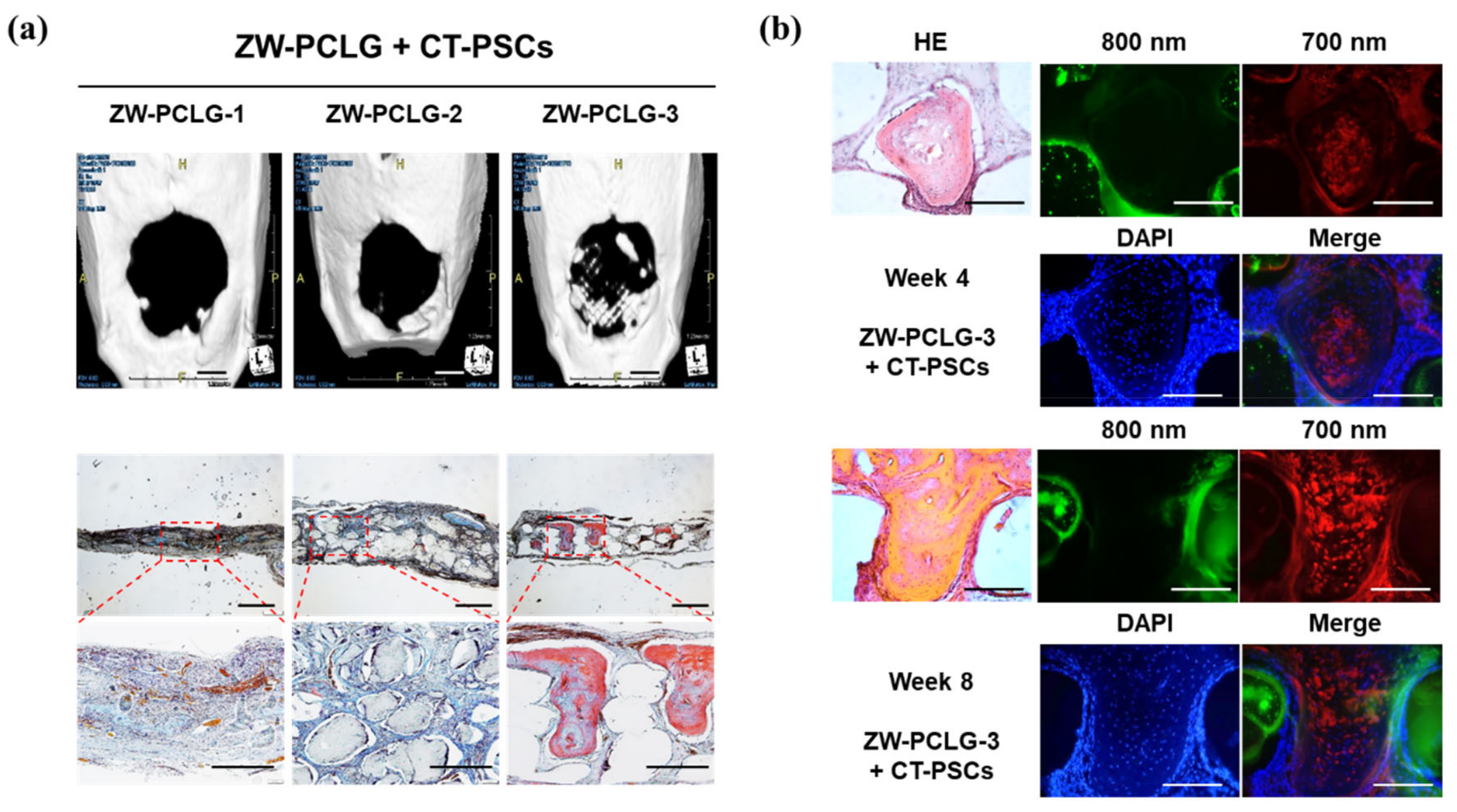 Materials 13 04819 g008 Materials 13 04819 g008