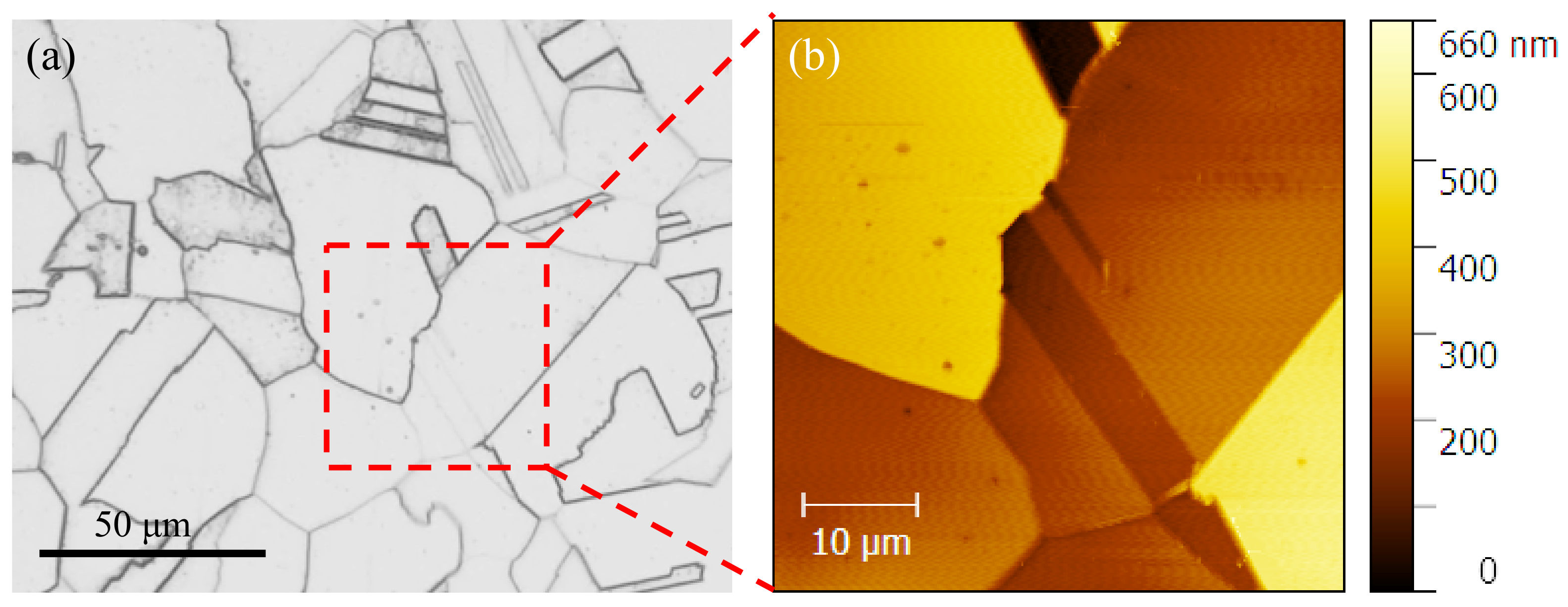 Materials 13 04820 g001