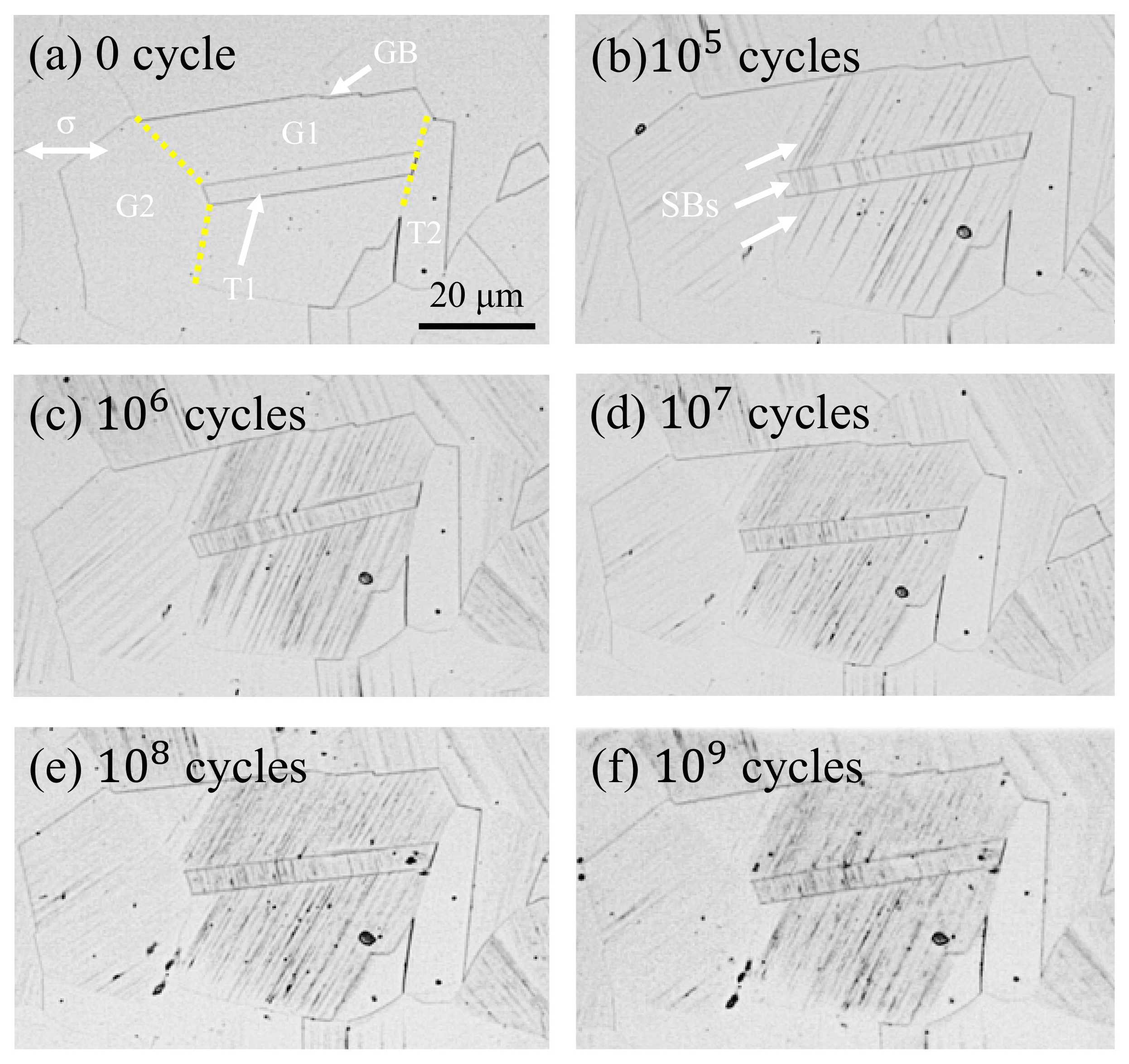Materials 13 04820 g005
