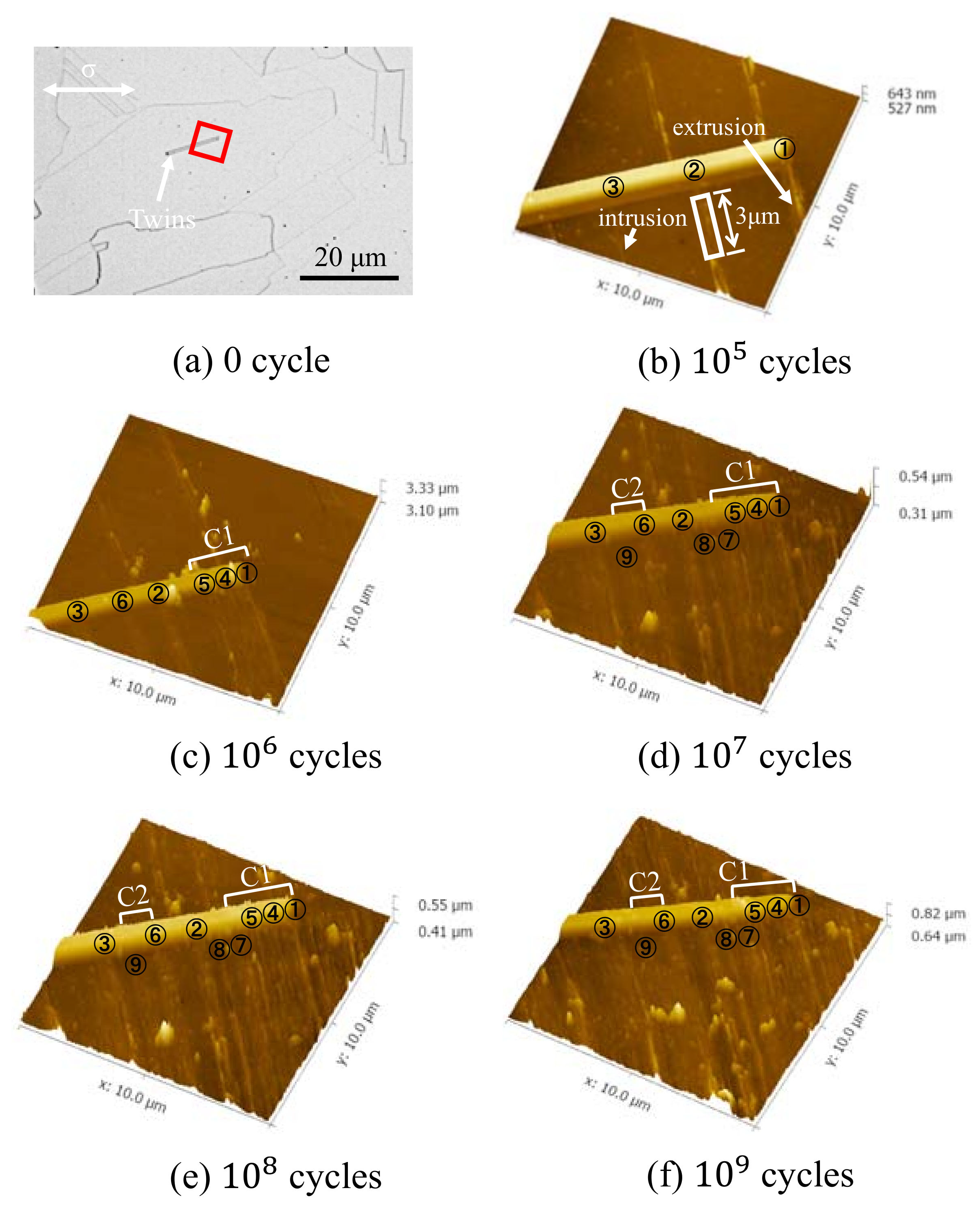 Materials 13 04820 g006