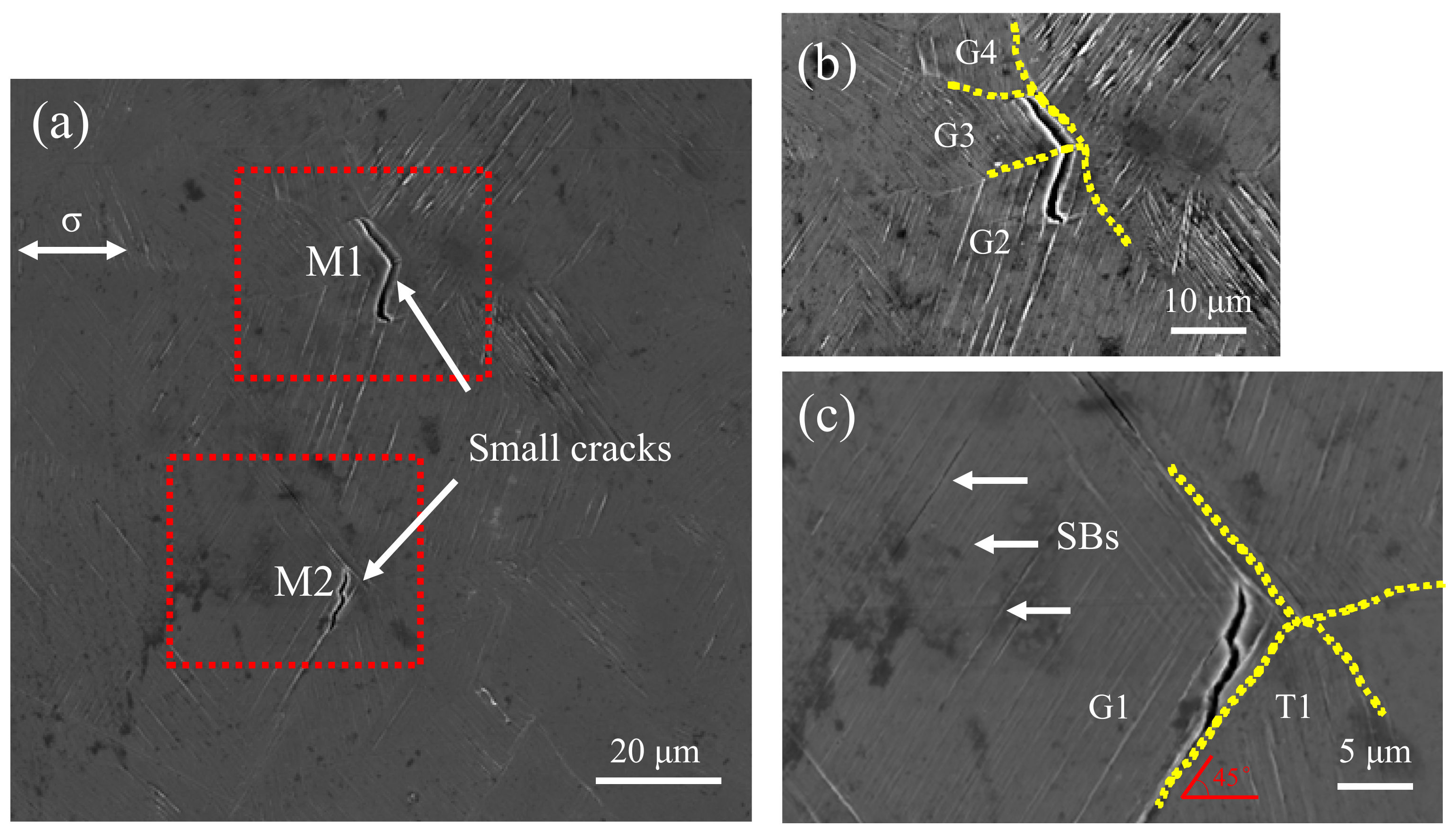 Materials 13 04820 g008
