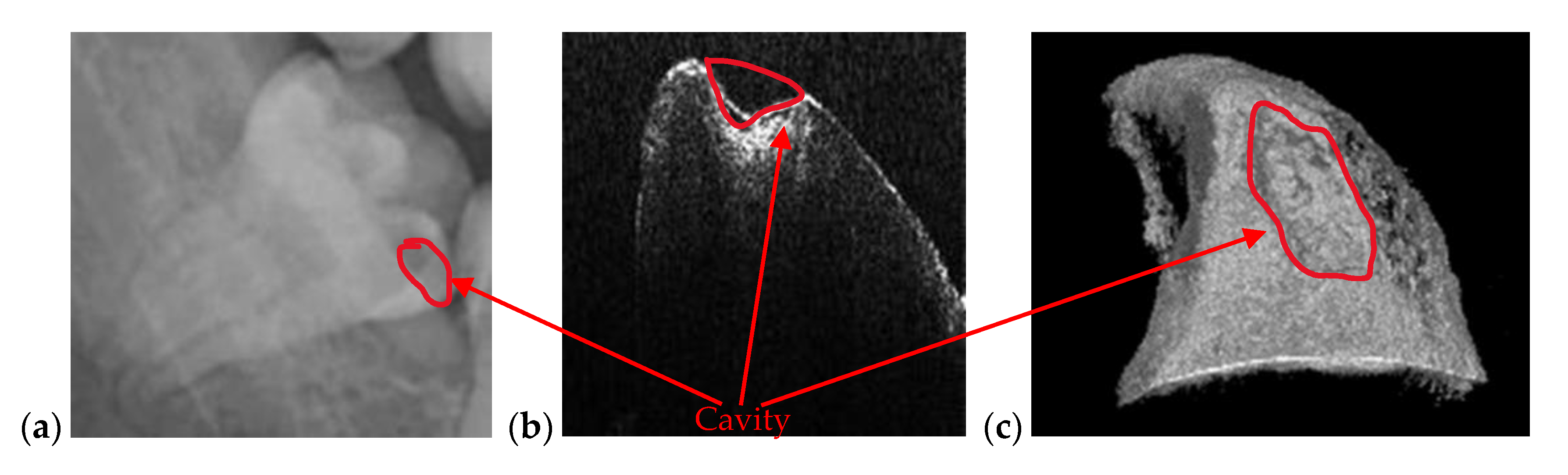 Materials 13 04825 g007 Materials 13 04825 g007