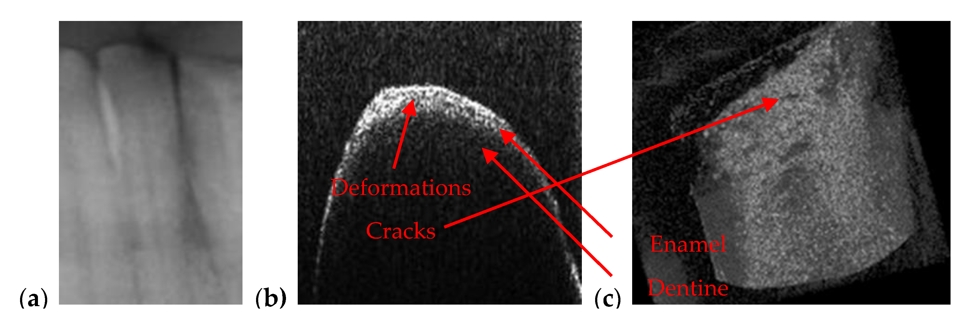 Materials 13 04825 g011 Materials 13 04825 g011