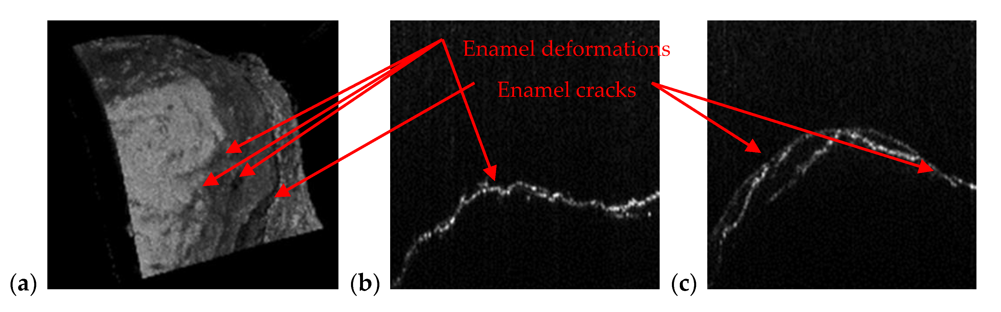 Materials 13 04825 g012 Materials 13 04825 g012