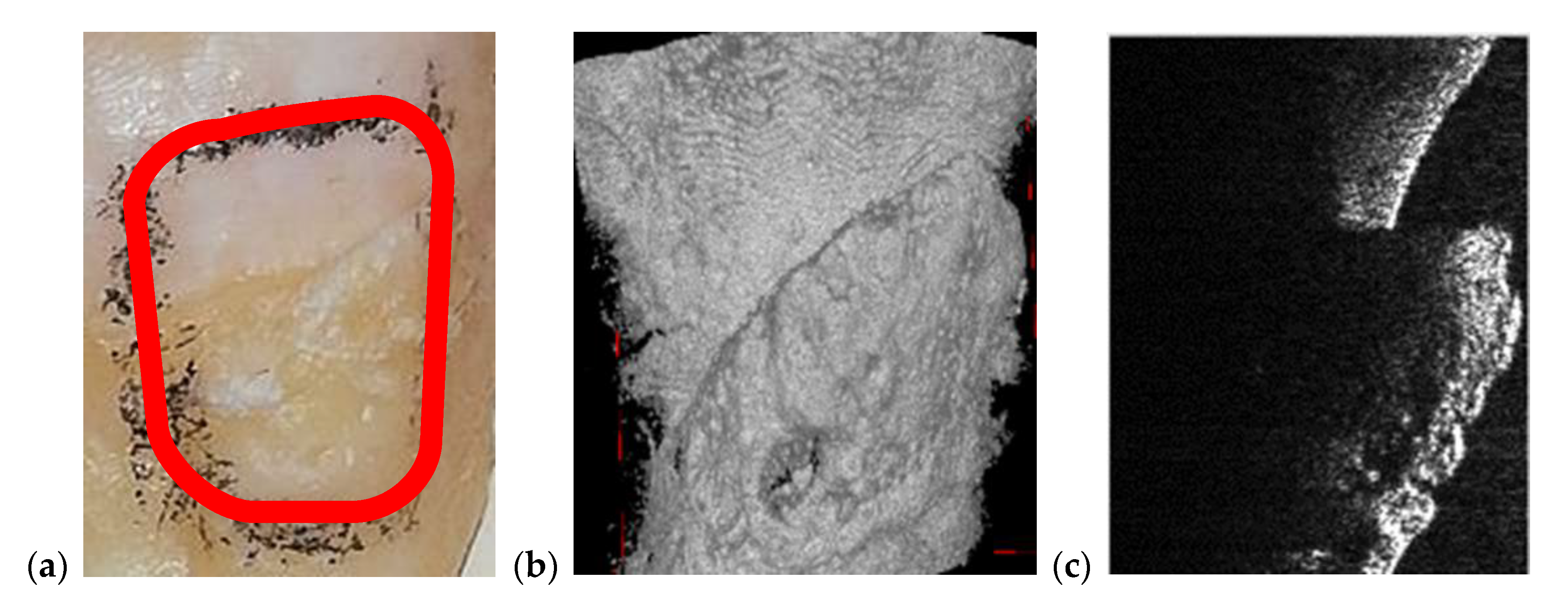 Materials 13 04825 g014 Materials 13 04825 g014