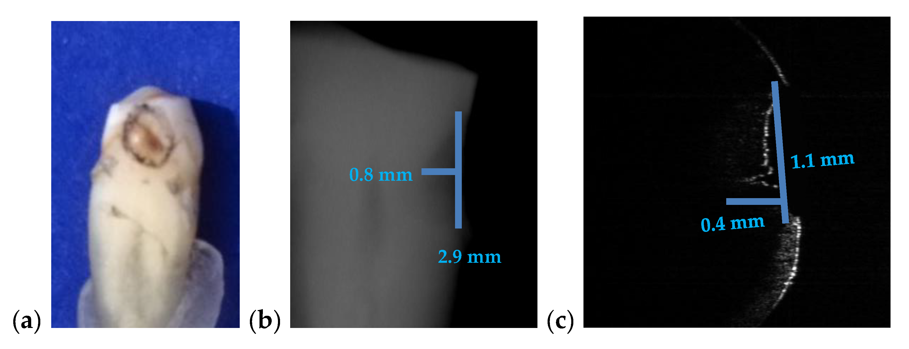 Materials 13 04825 g015a Materials 13 04825 g015a