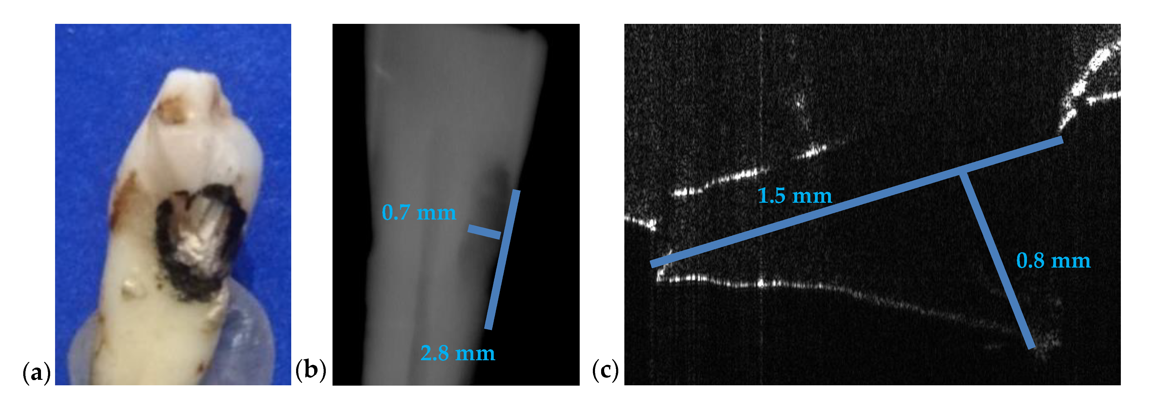 Materials 13 04825 g016 Materials 13 04825 g016