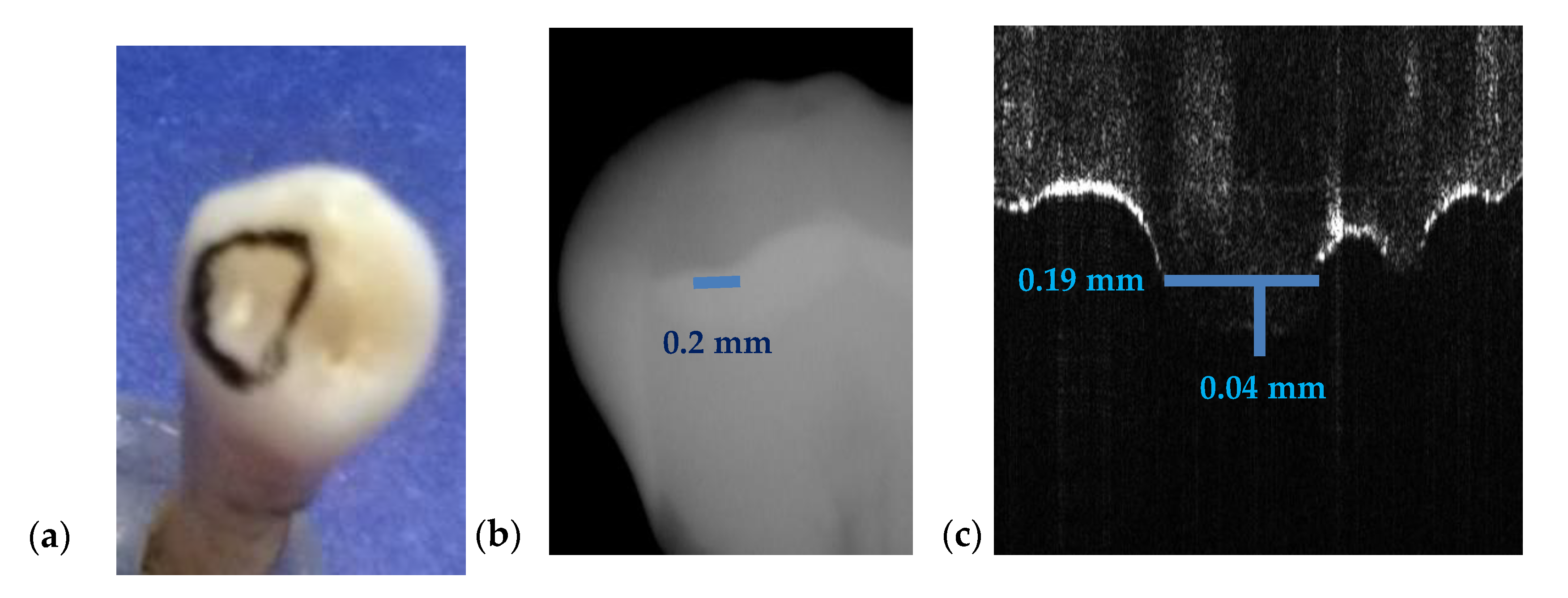 Materials 13 04825 g017 Materials 13 04825 g017