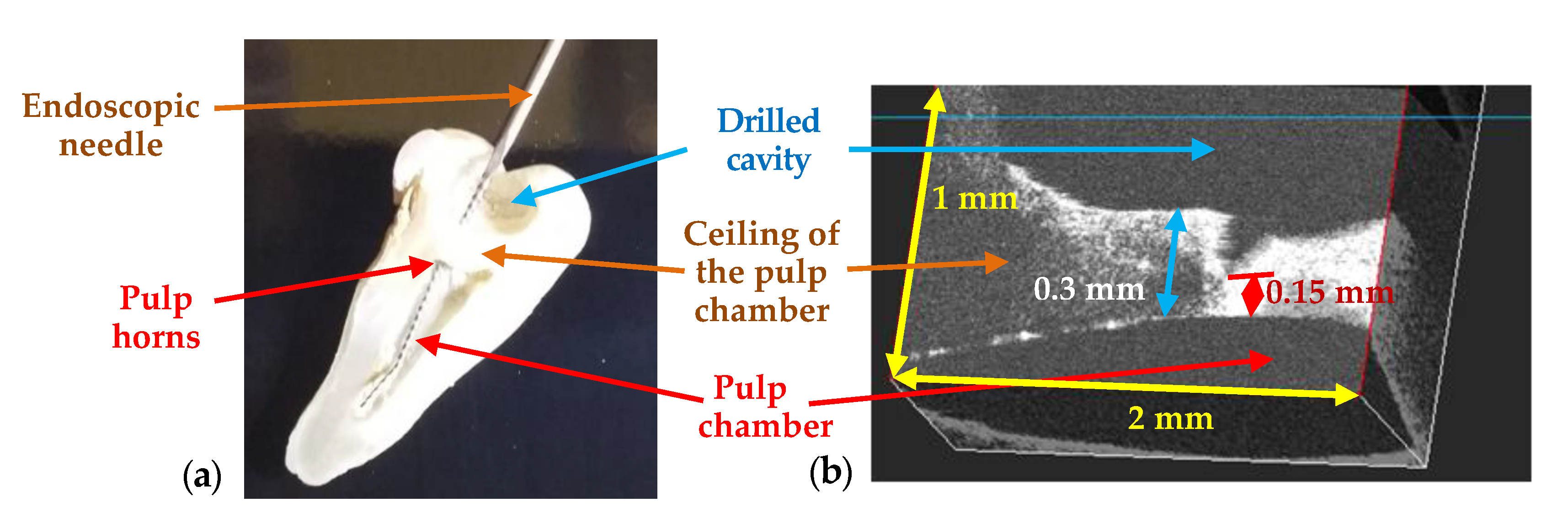 Materials 13 04825 g020 Materials 13 04825 g020