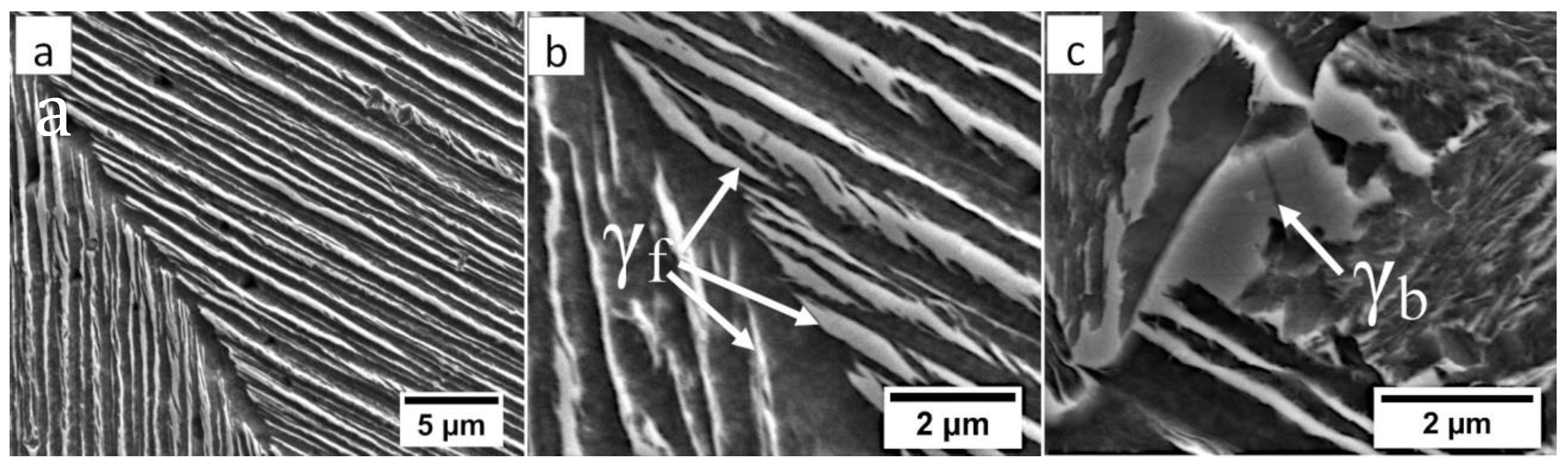 Materials 13 04841 g006 Materials 13 04841 g006