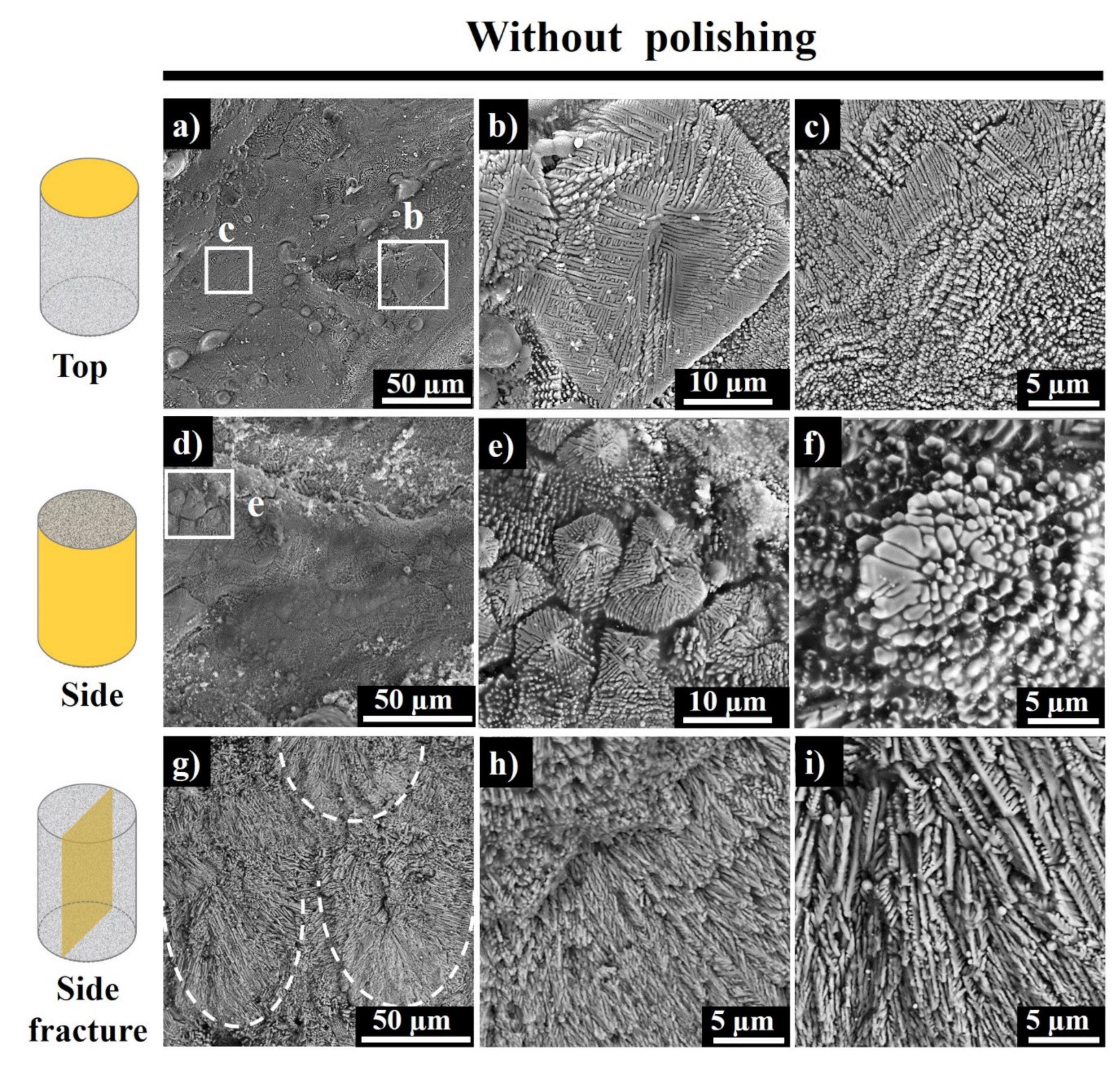 Materials 13 04849 g007