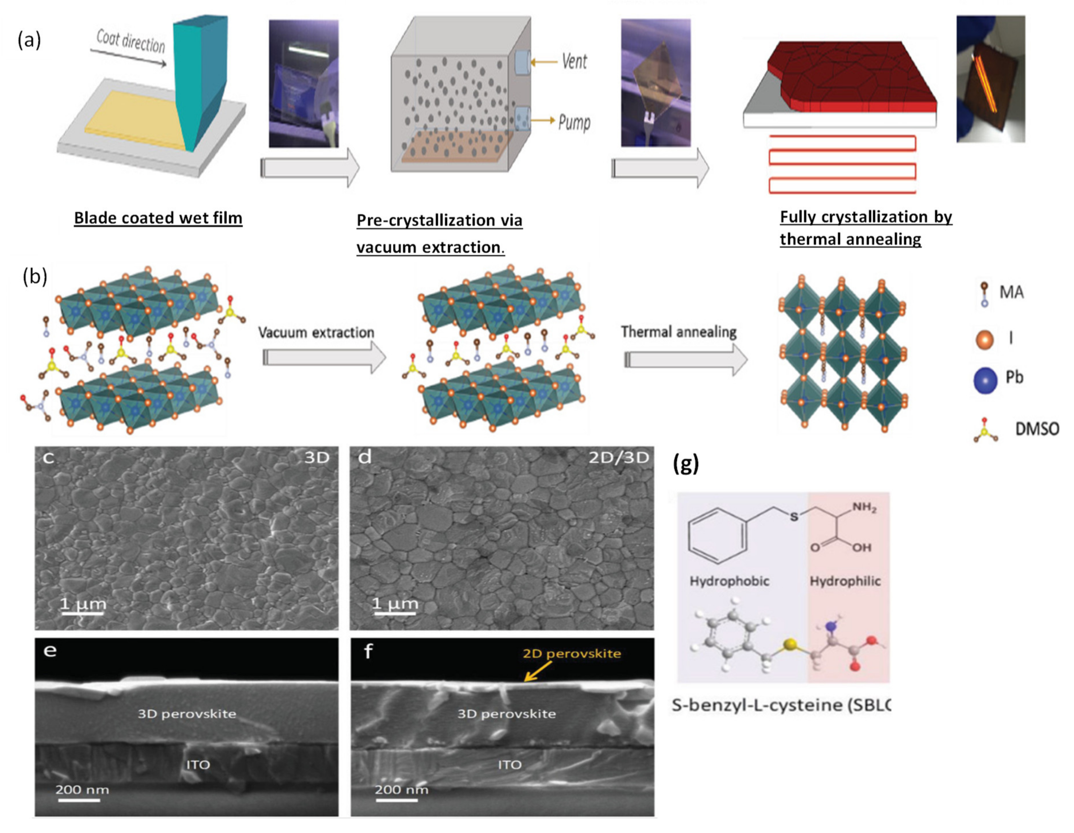Materials 13 04851 g007